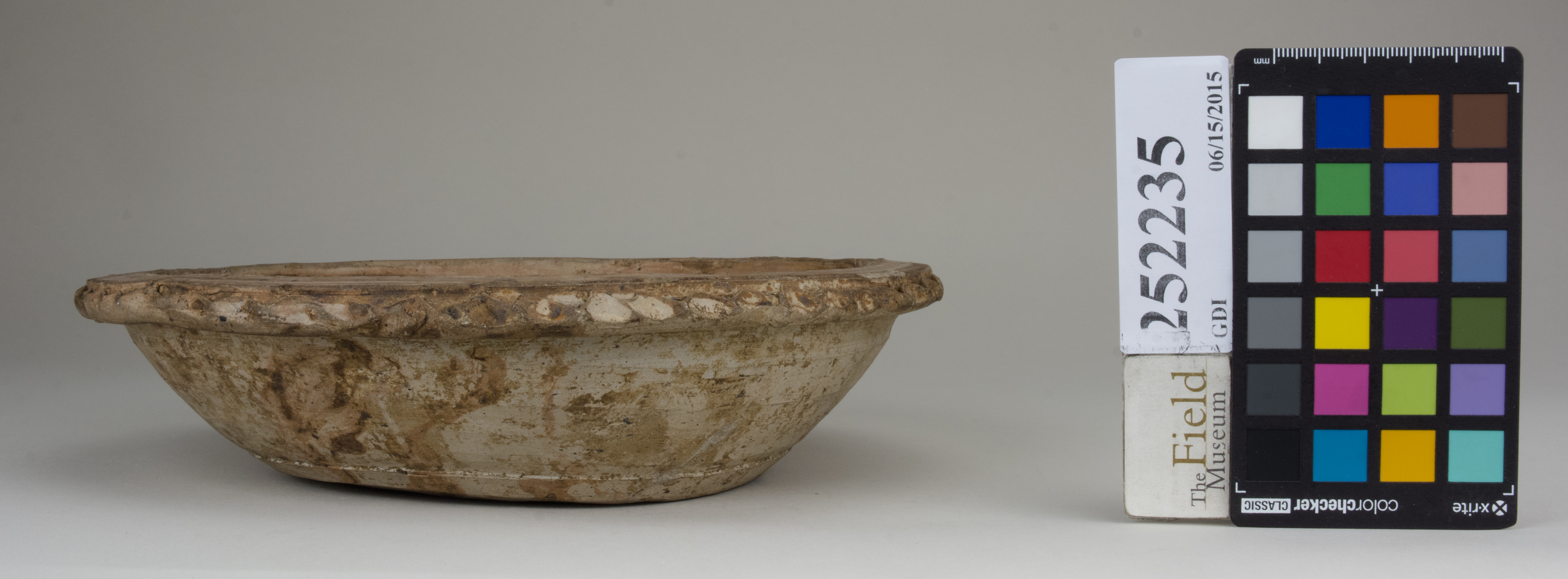 Right (c) Field Museum of Natural History - CC BY-NC 4.0