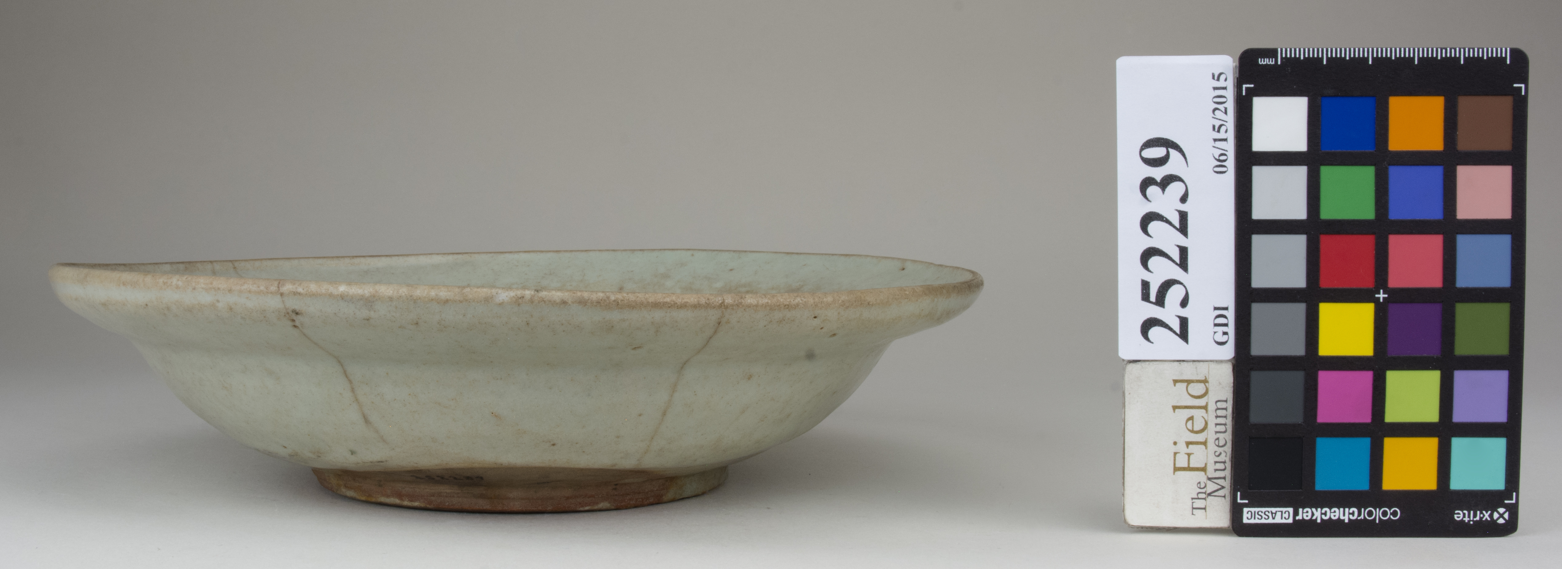 reference image, back (c) Field Museum of Natural History - CC BY-NC 4.0