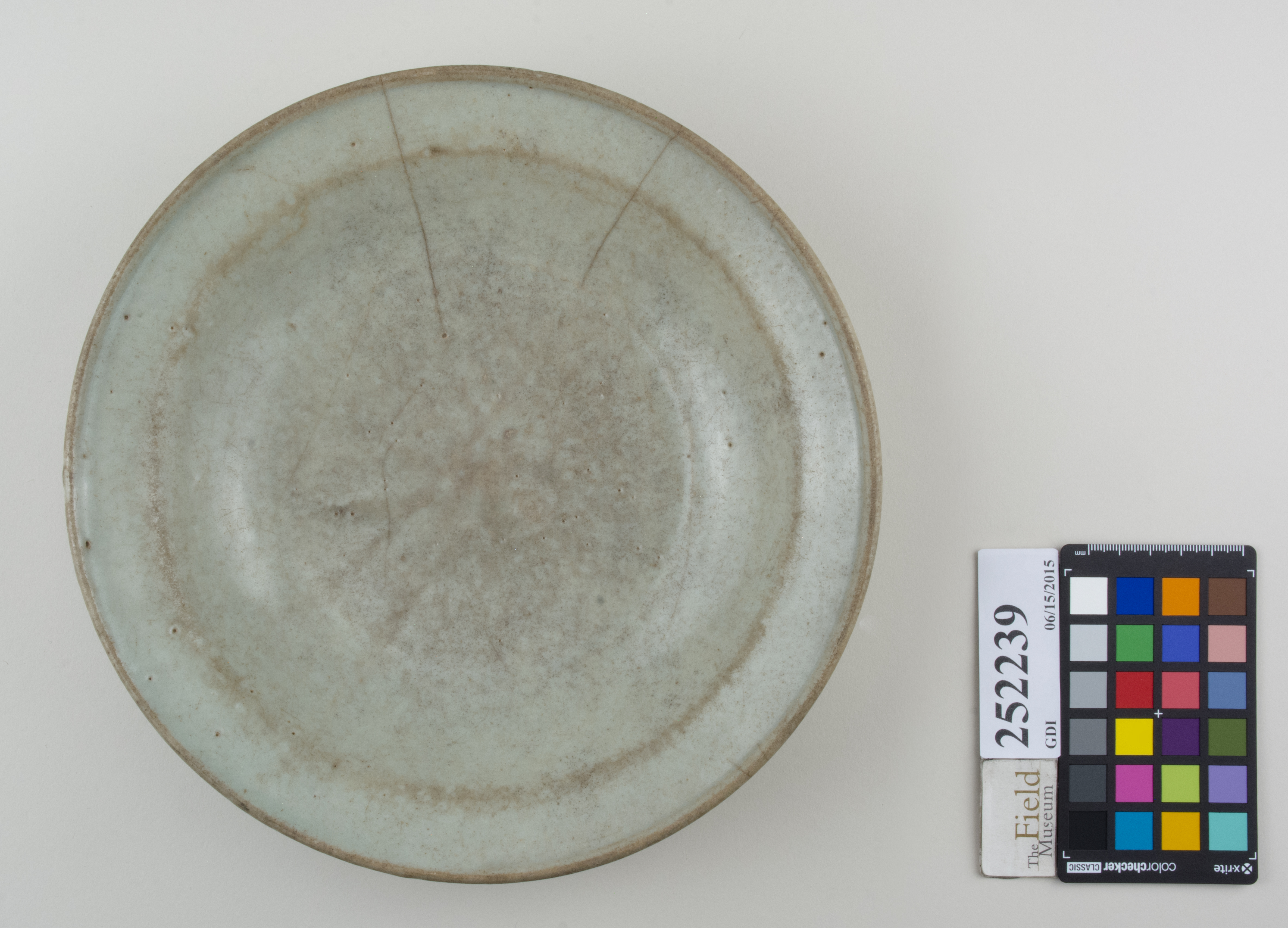 Top (c) Field Museum of Natural History - CC BY-NC 4.0