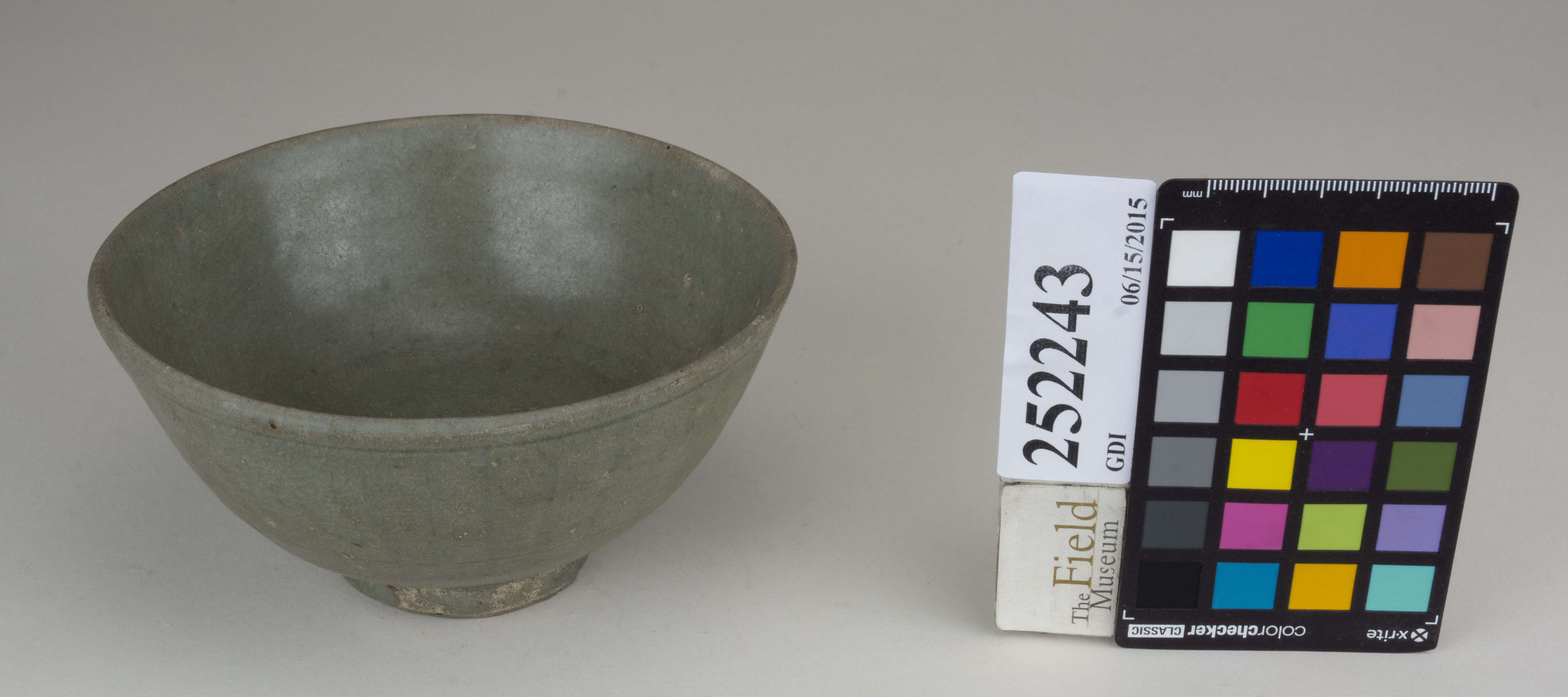 FrontAngle (c) Field Museum of Natural History - CC BY-NC 4.0