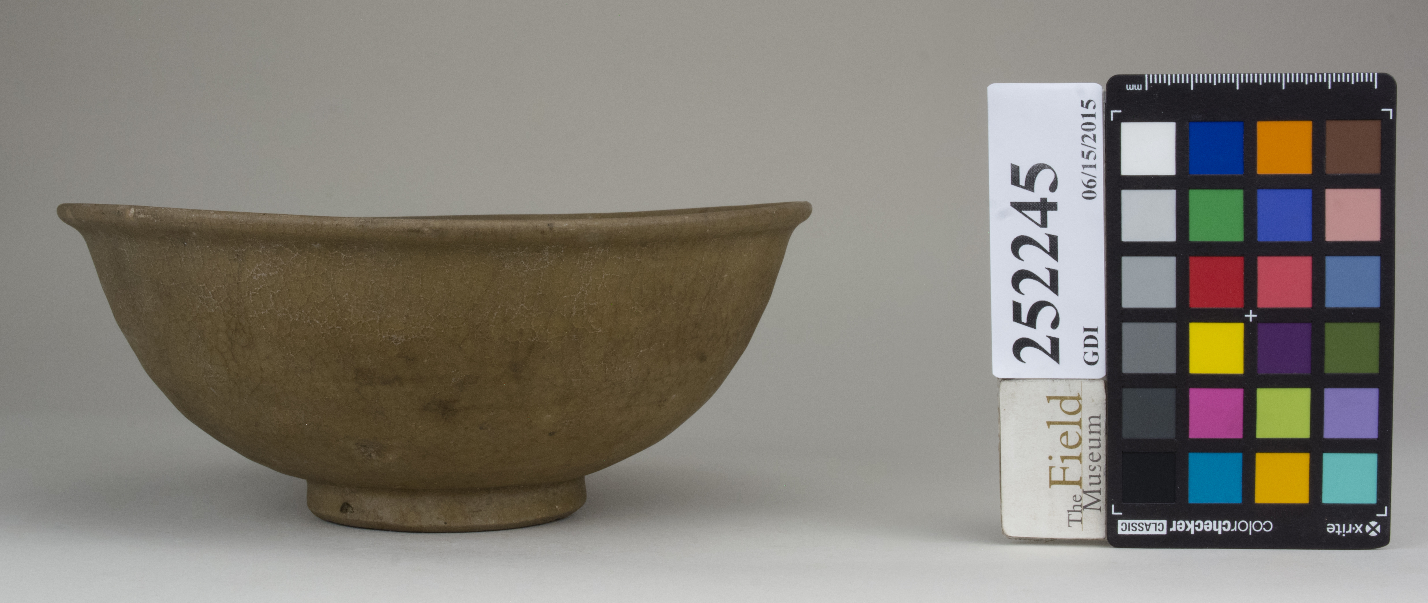 reference image, back (c) Field Museum of Natural History - CC BY-NC 4.0