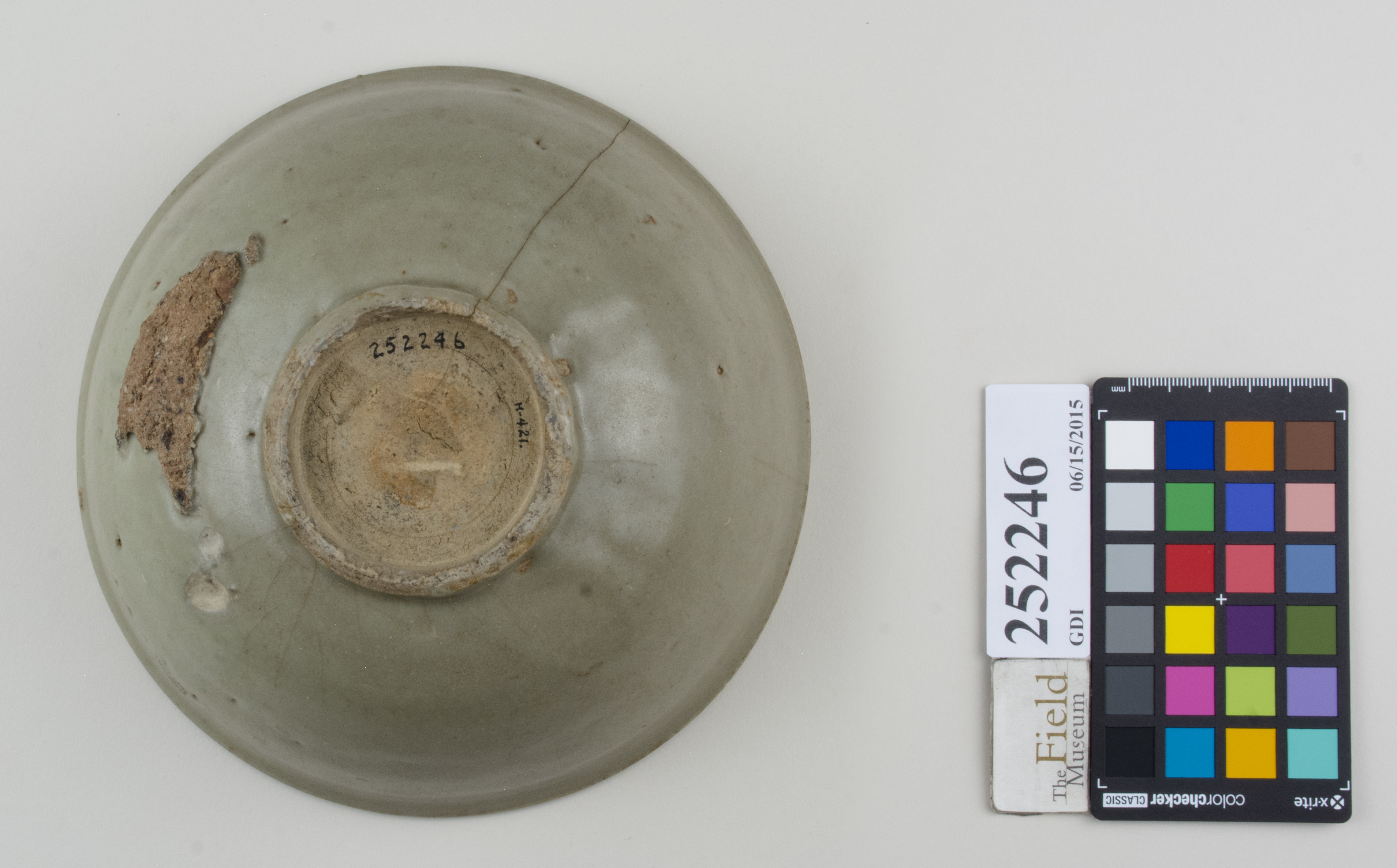 Bottom (c) Field Museum of Natural History - CC BY-NC 4.0