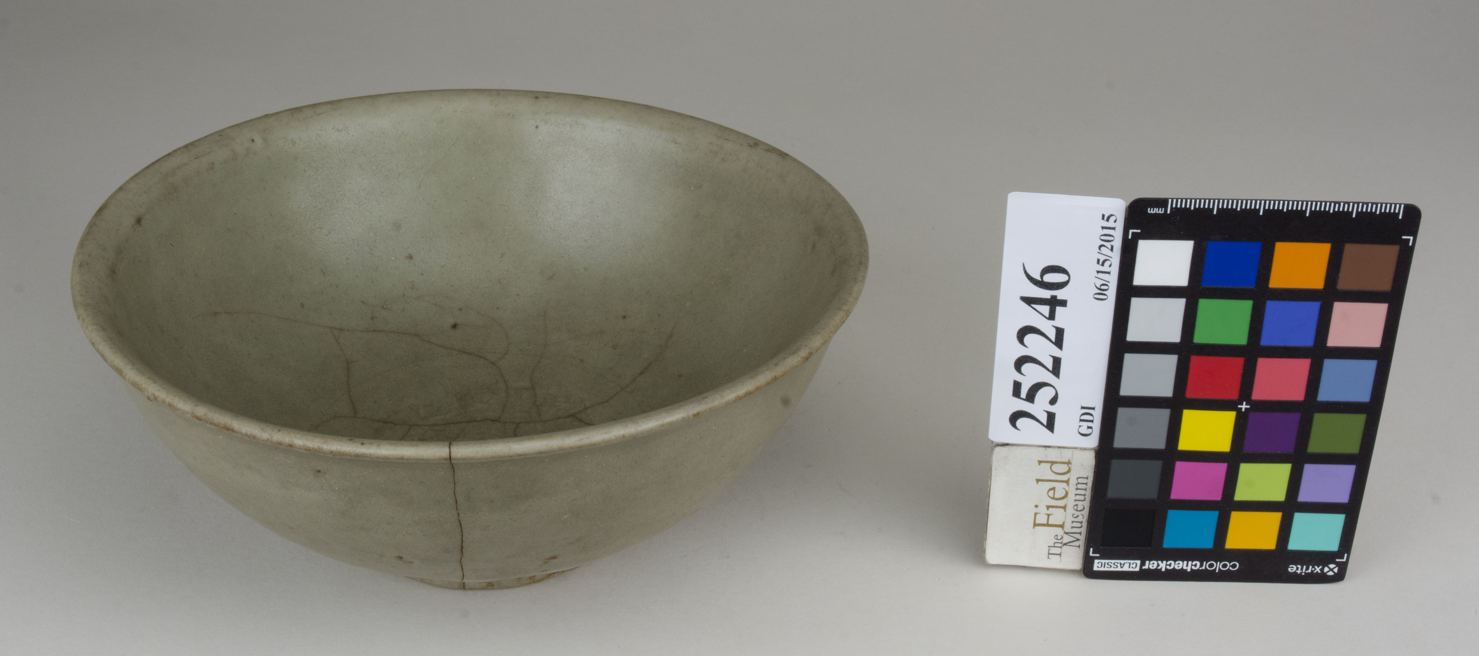 FrontAngle (c) Field Museum of Natural History - CC BY-NC 4.0