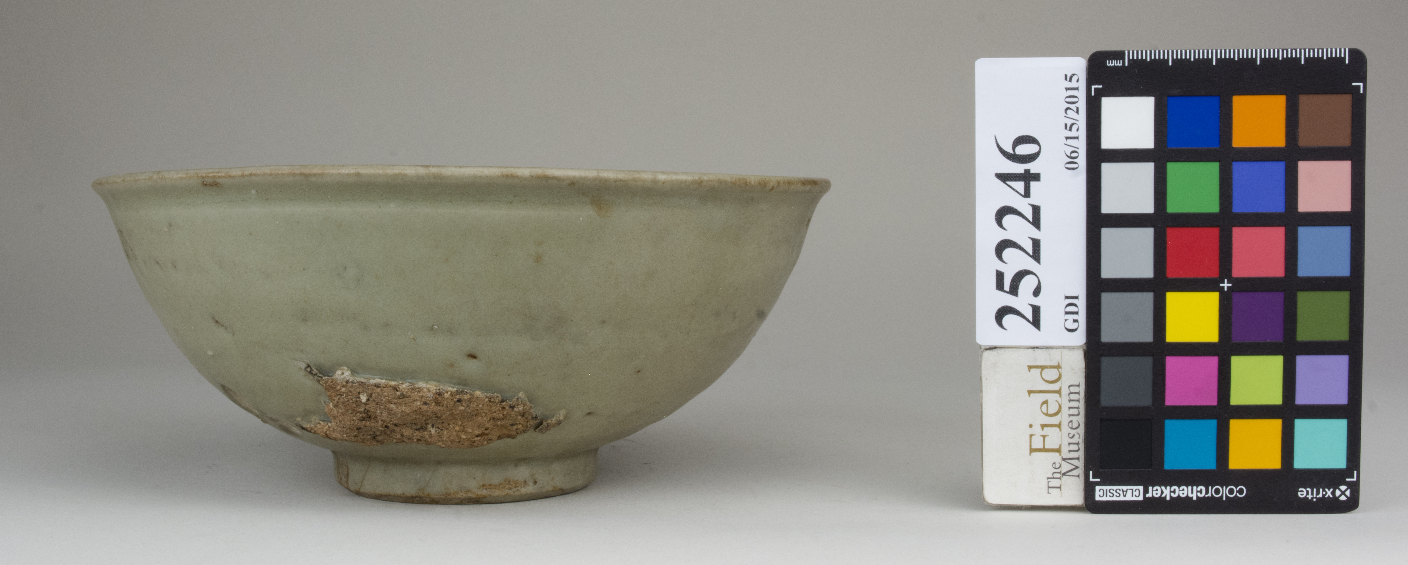 Right (c) Field Museum of Natural History - CC BY-NC 4.0