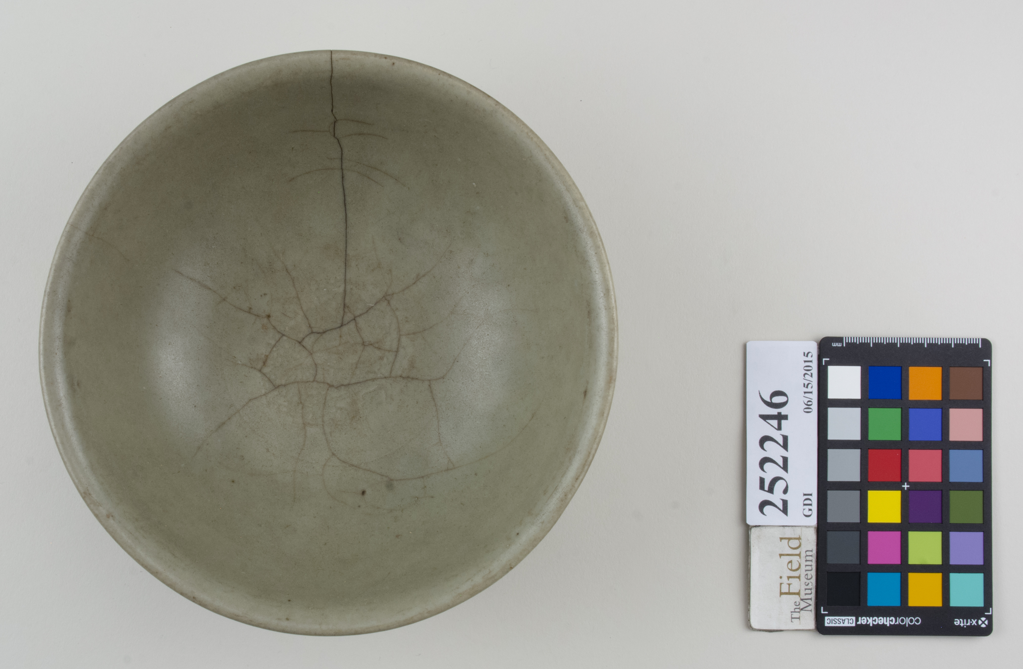 Top (c) Field Museum of Natural History - CC BY-NC 4.0