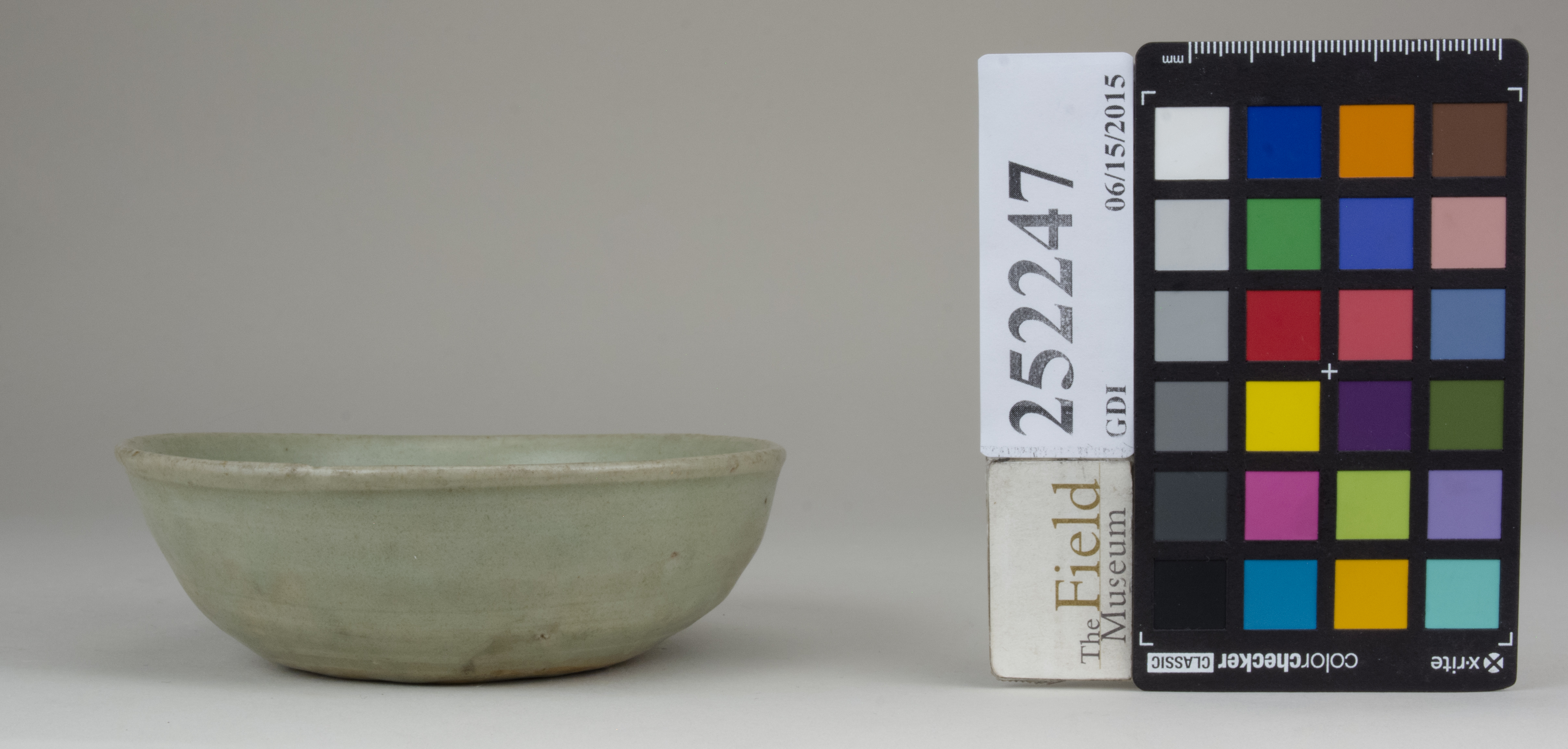 Front (c) Field Museum of Natural History - CC BY-NC 4.0