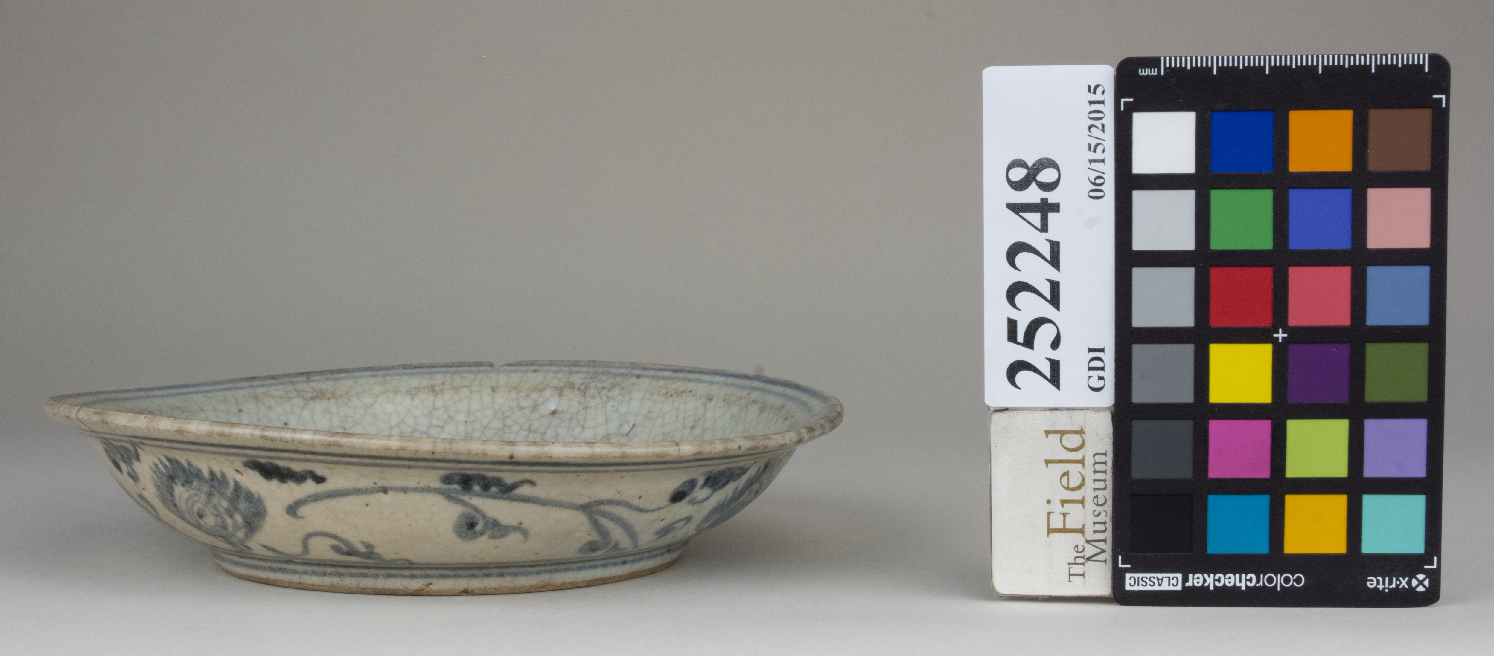 reference image, back (c) Field Museum of Natural History - CC BY-NC 4.0