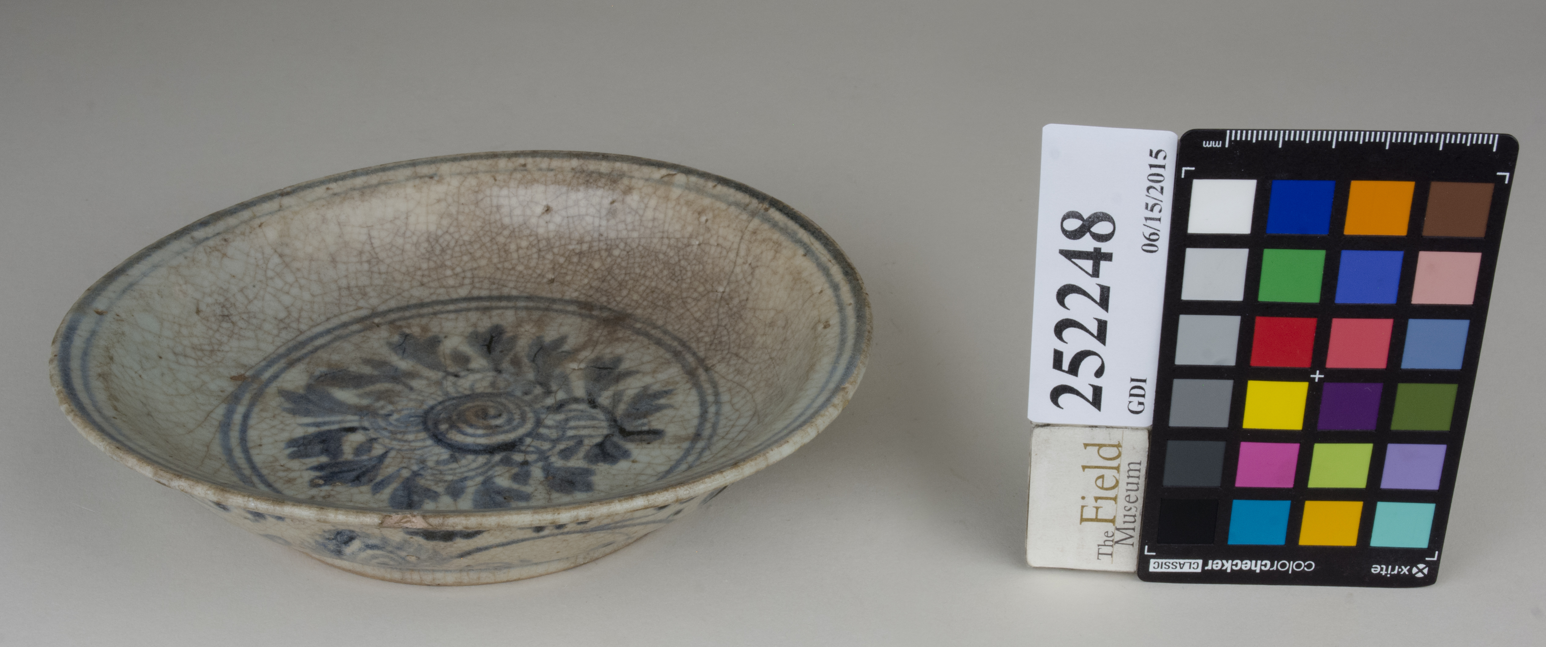 FrontAngle (c) Field Museum of Natural History - CC BY-NC 4.0