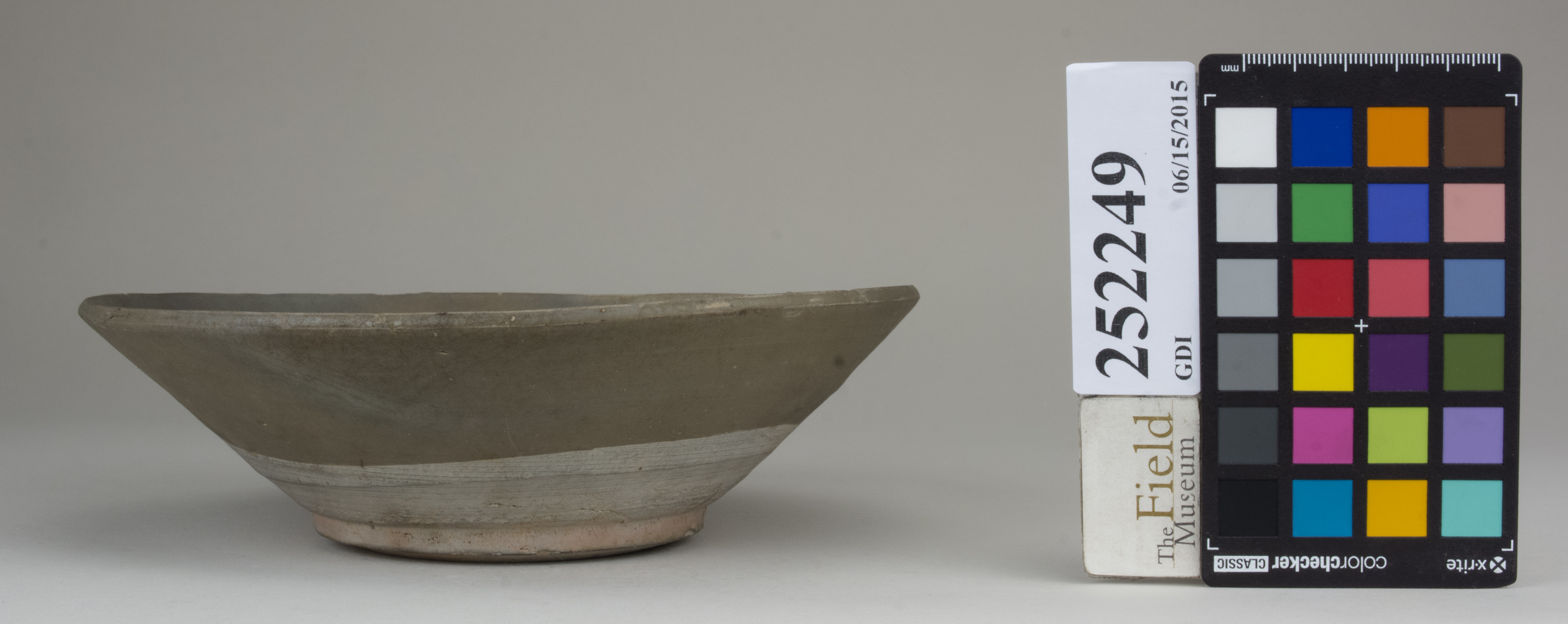 reference image, back (c) Field Museum of Natural History - CC BY-NC 4.0