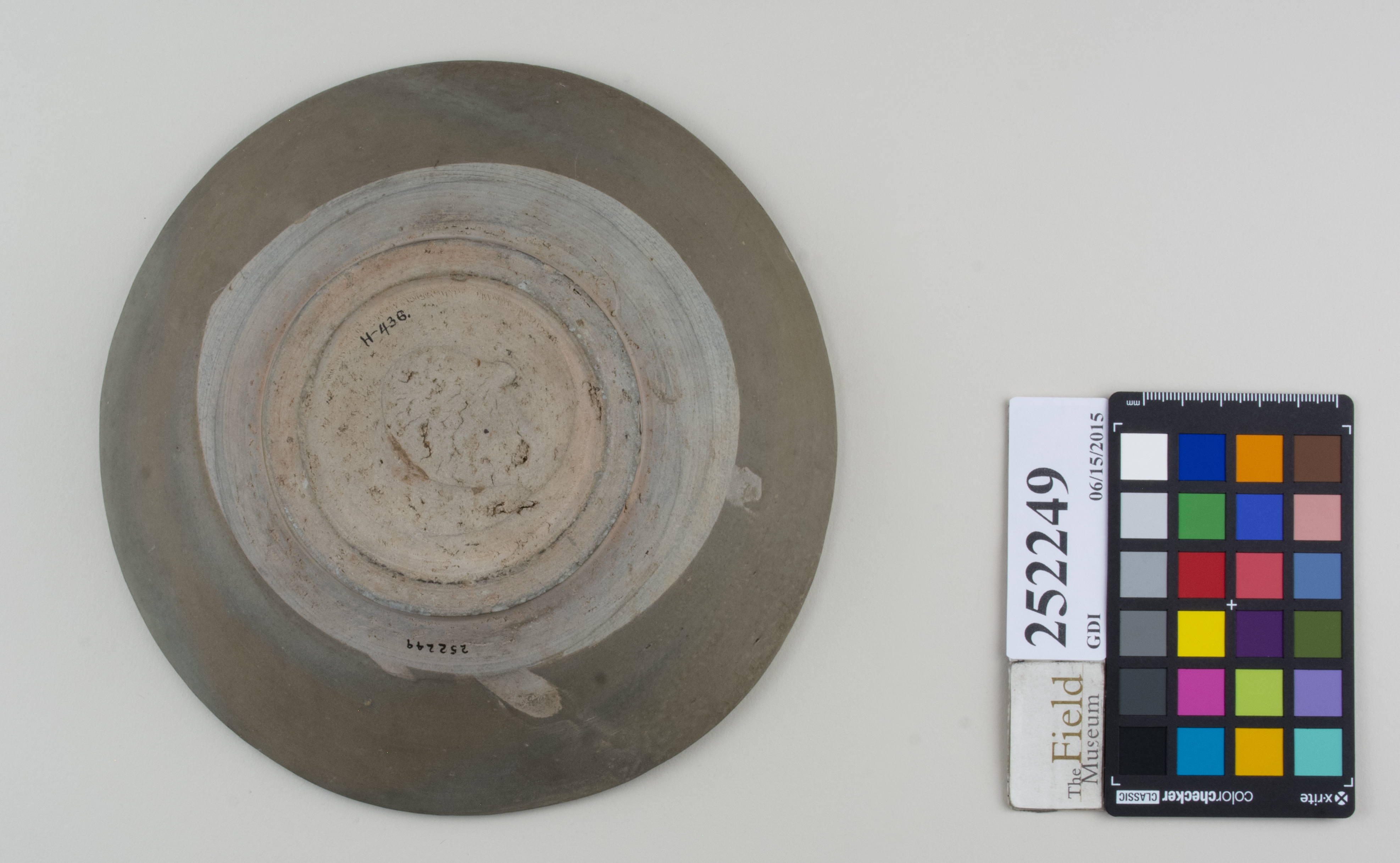 Bottom (c) Field Museum of Natural History - CC BY-NC 4.0