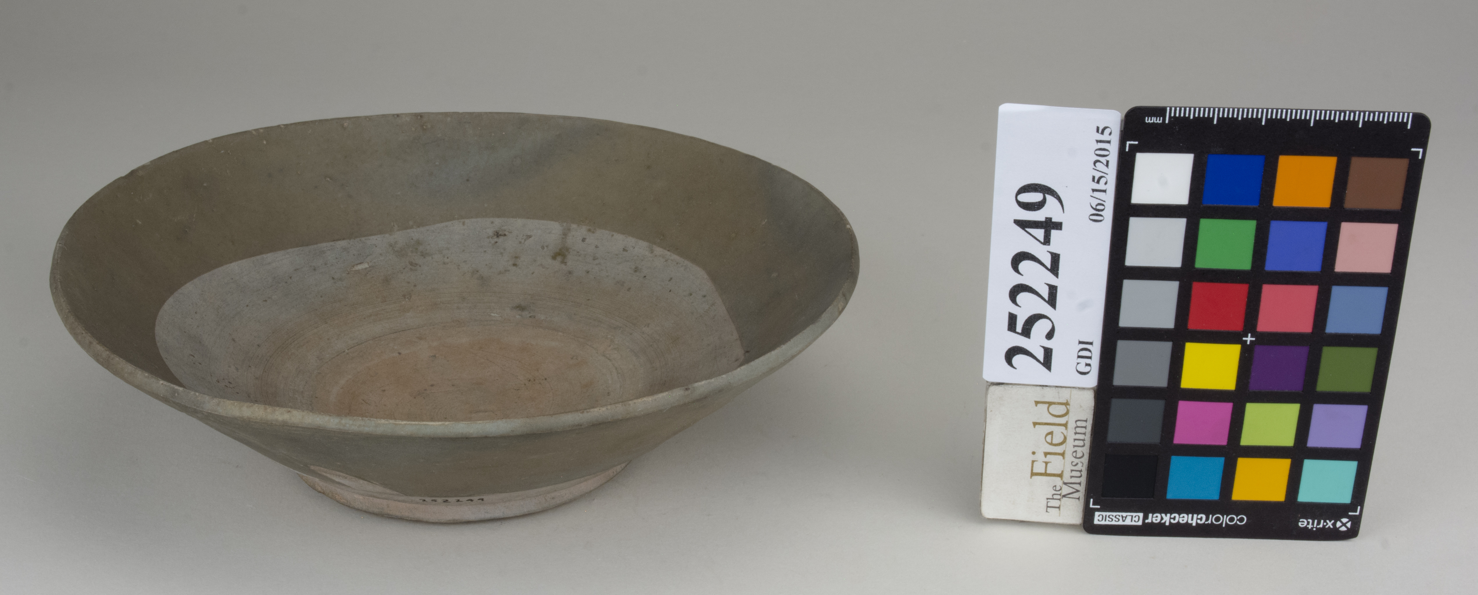 FrontAngle (c) Field Museum of Natural History - CC BY-NC 4.0