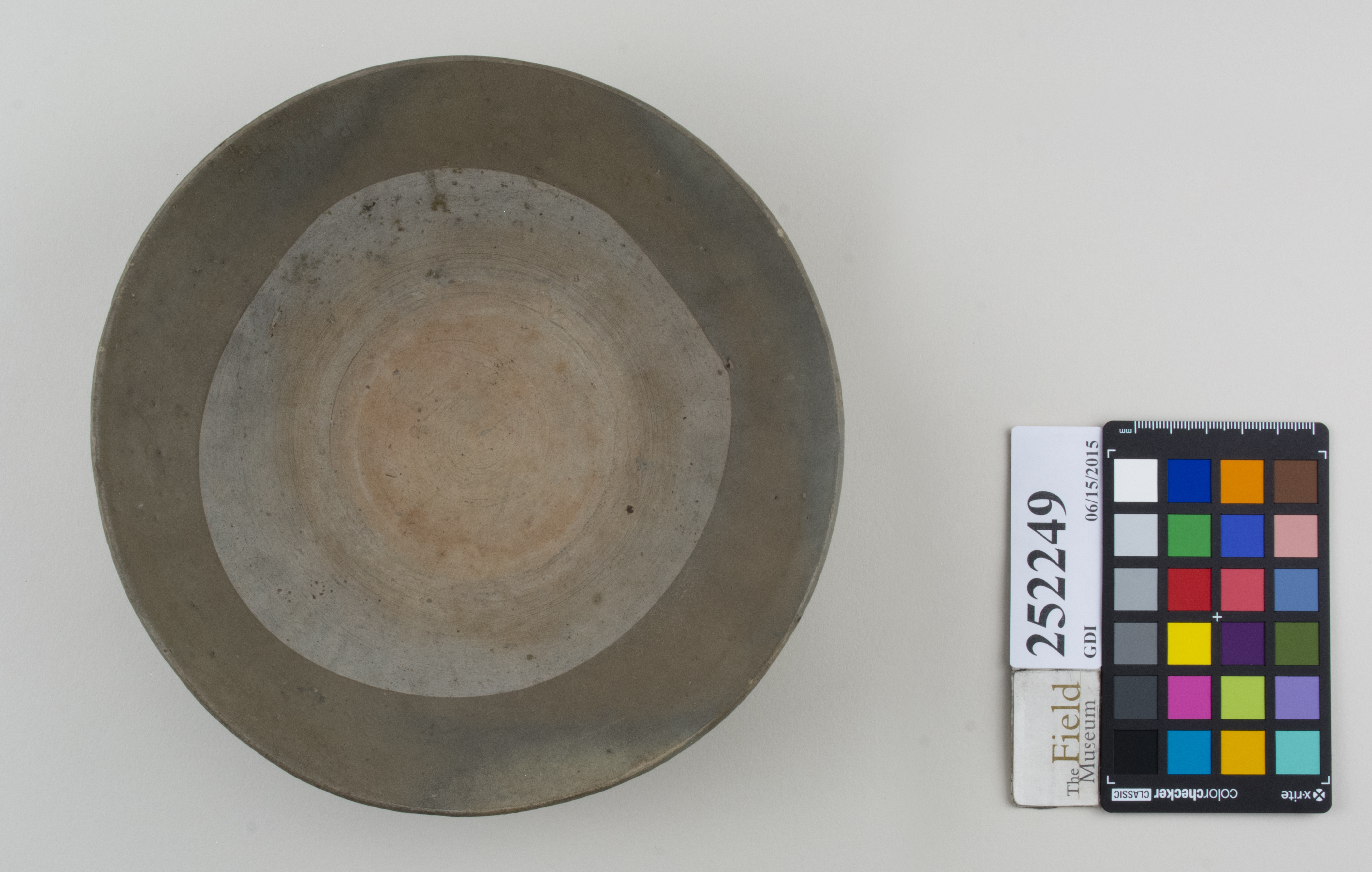 Top (c) Field Museum of Natural History - CC BY-NC 4.0