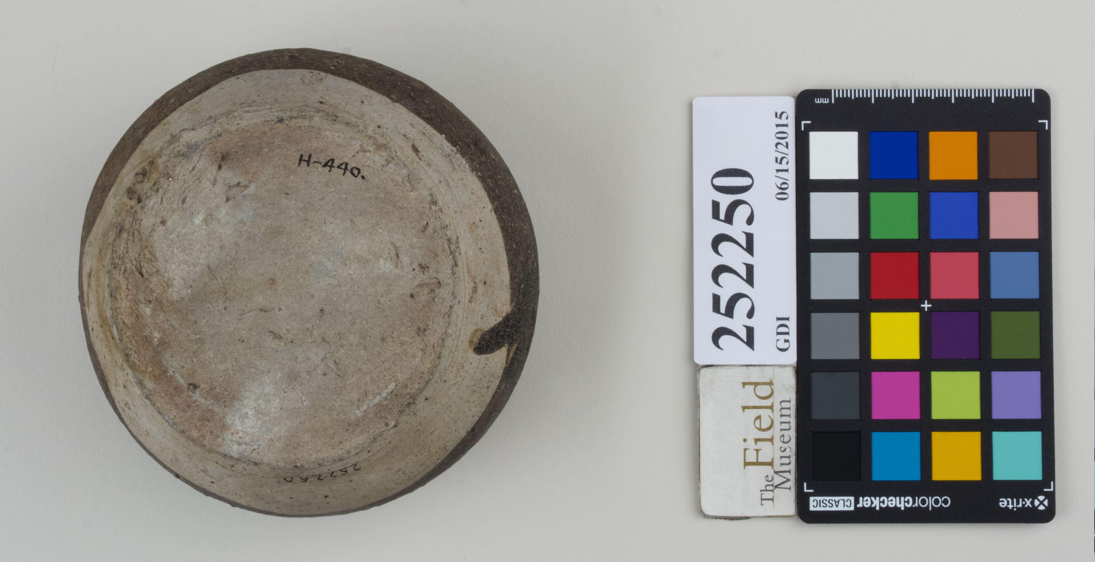 Bottom (c) Field Museum of Natural History - CC BY-NC 4.0