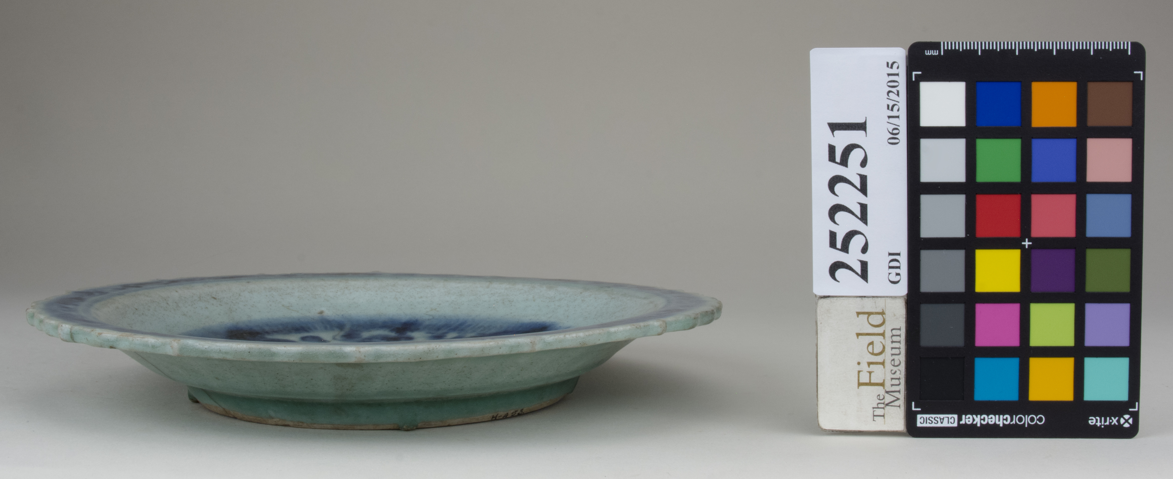 Front (c) Field Museum of Natural History - CC BY-NC 4.0