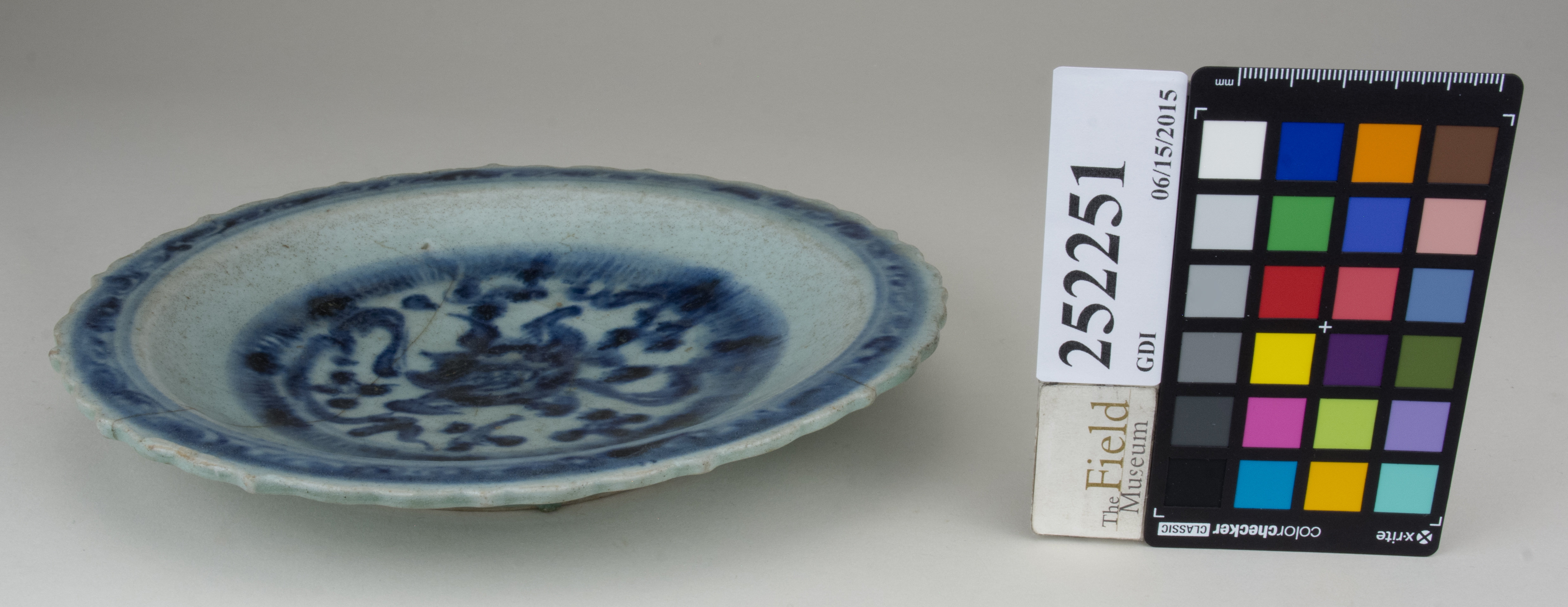 FrontAngle (c) Field Museum of Natural History - CC BY-NC 4.0