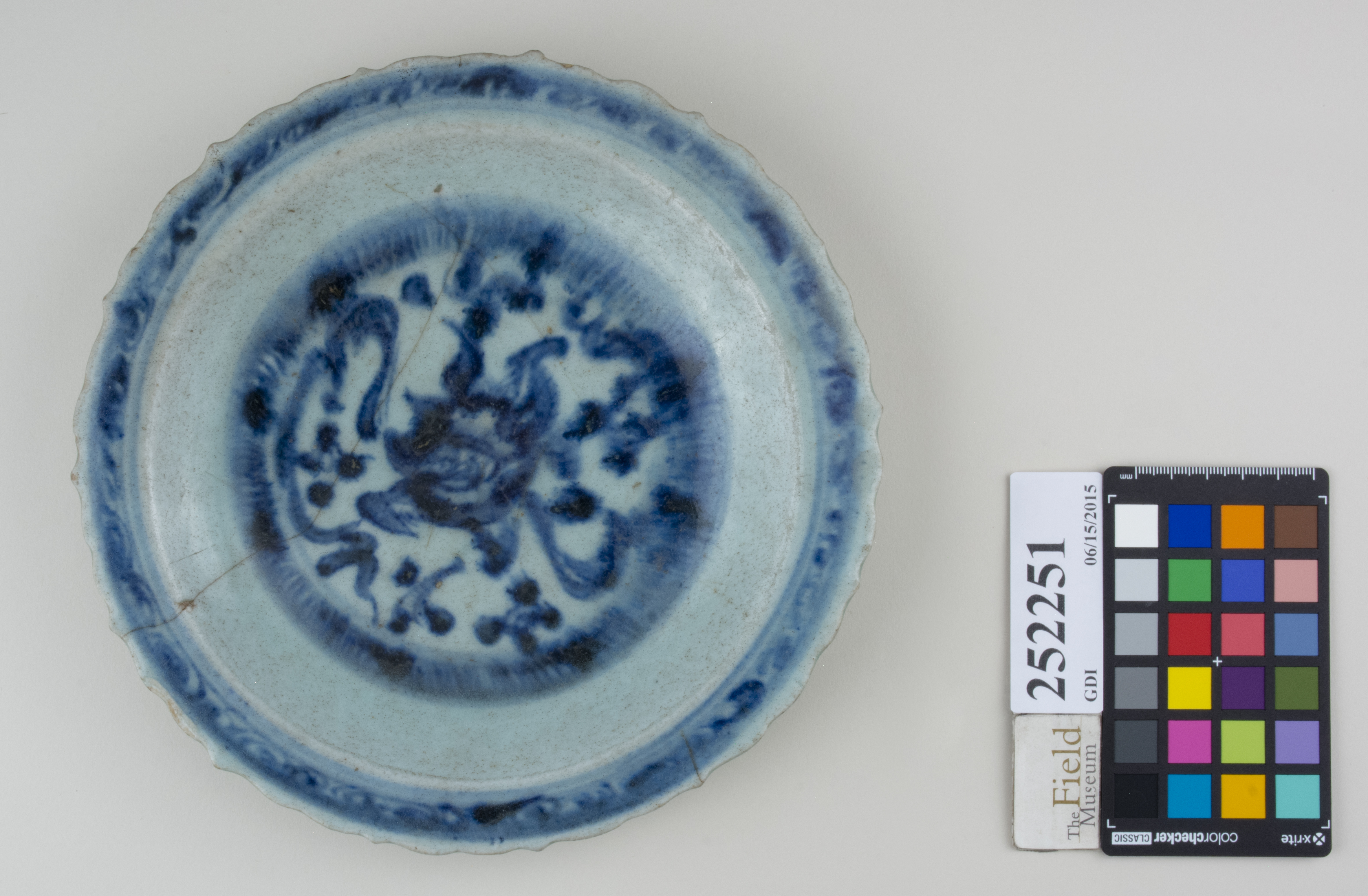 Top (c) Field Museum of Natural History - CC BY-NC 4.0