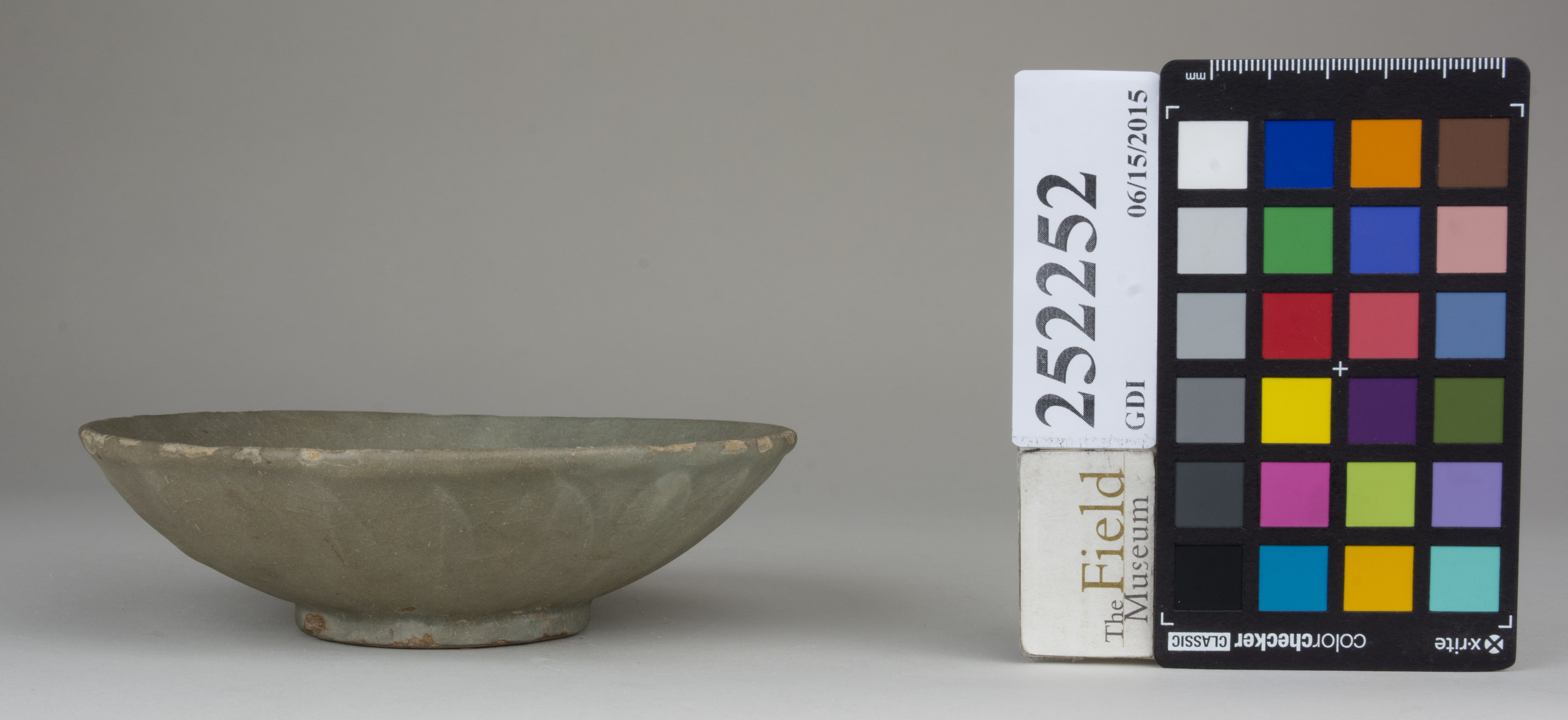 reference image, back (c) Field Museum of Natural History - CC BY-NC 4.0