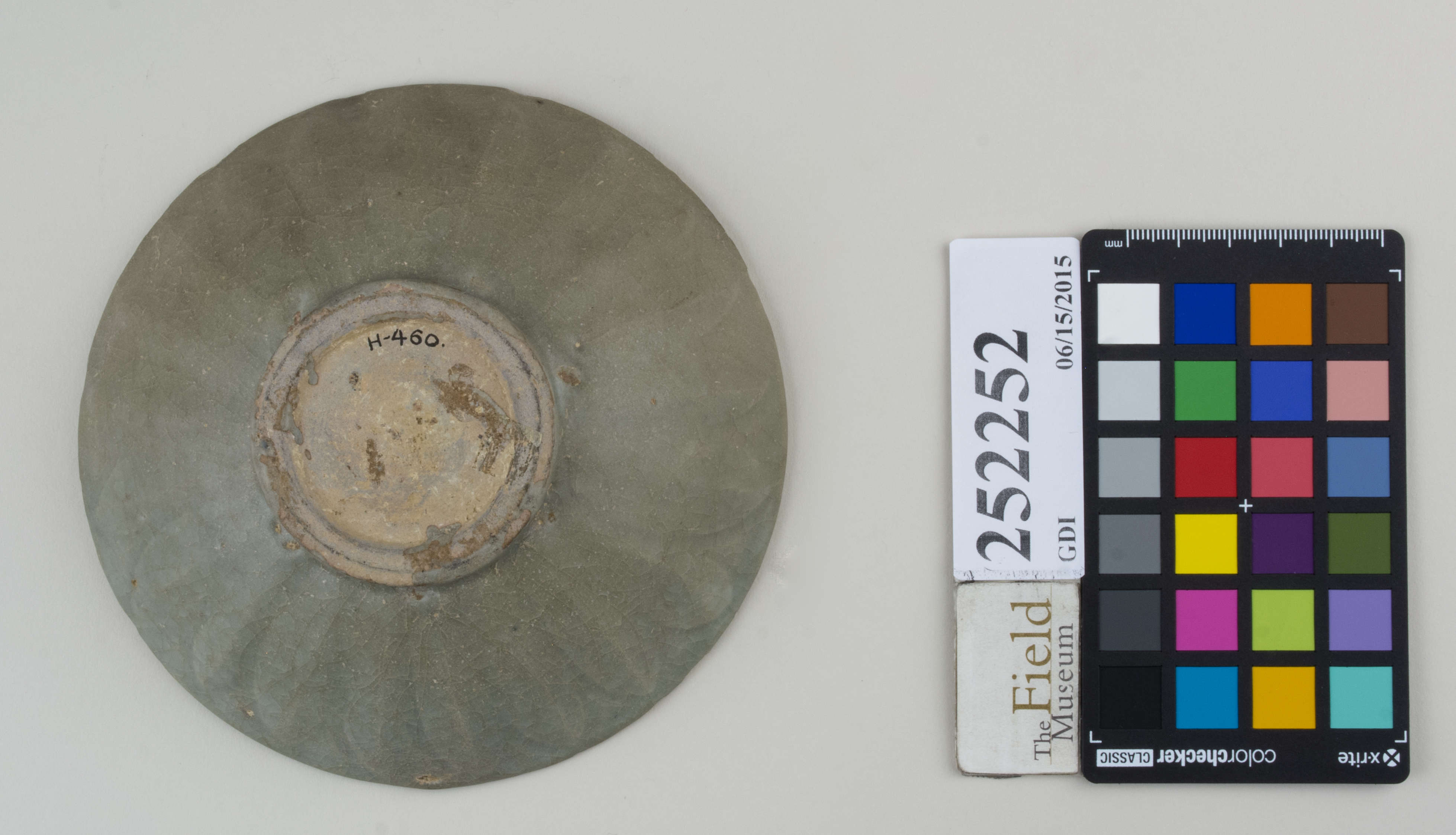 Bottom (c) Field Museum of Natural History - CC BY-NC 4.0