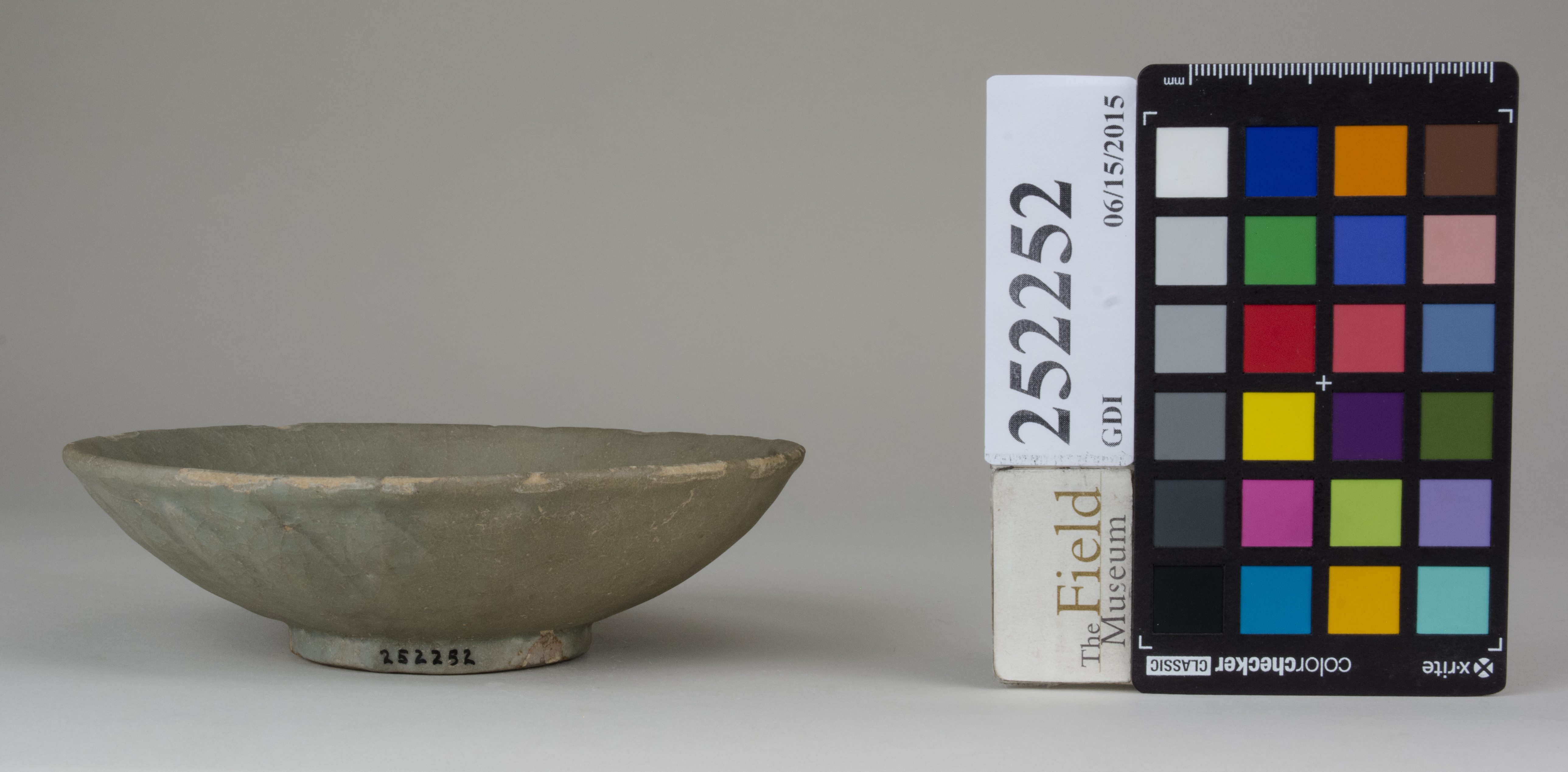 Front (c) Field Museum of Natural History - CC BY-NC 4.0