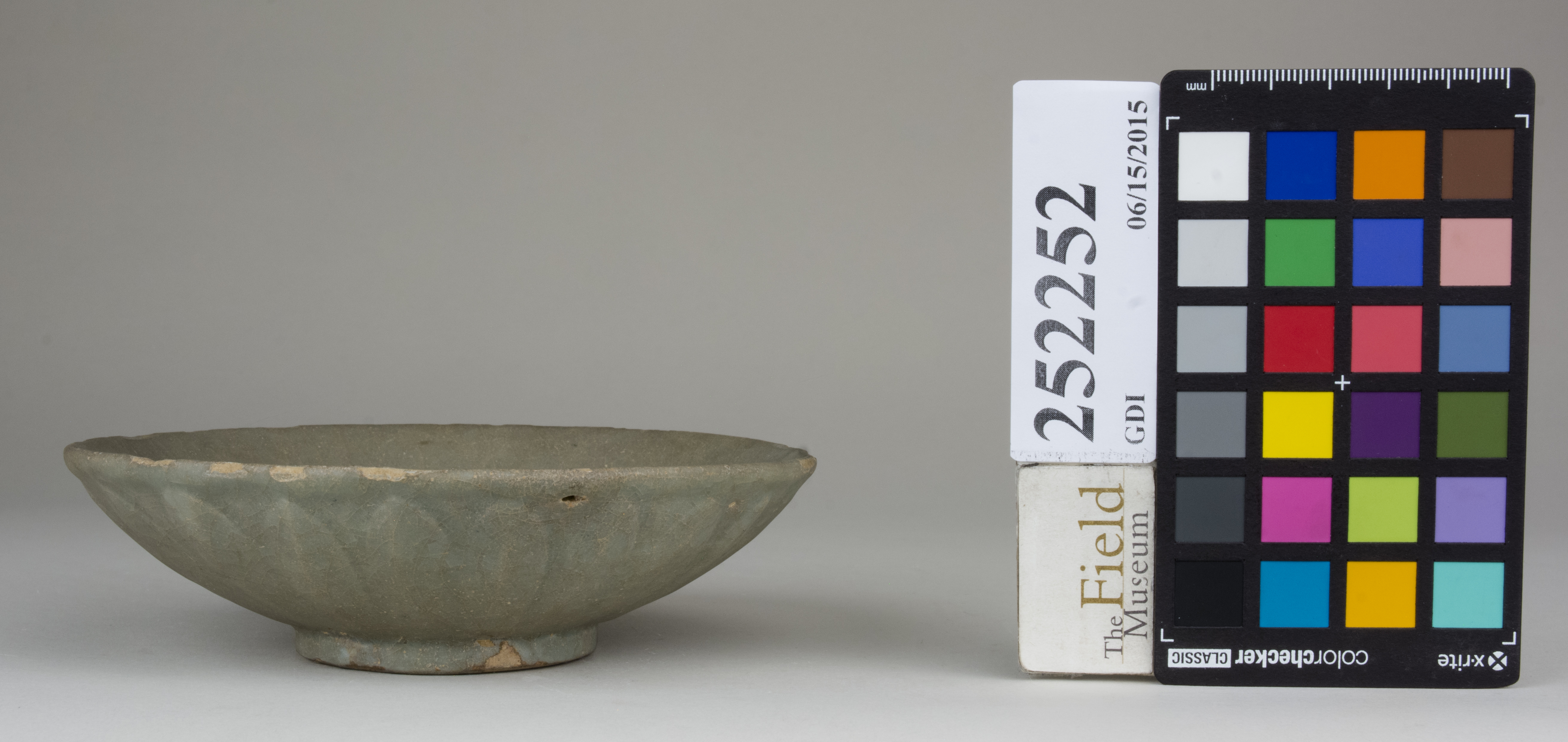 Right (c) Field Museum of Natural History - CC BY-NC 4.0