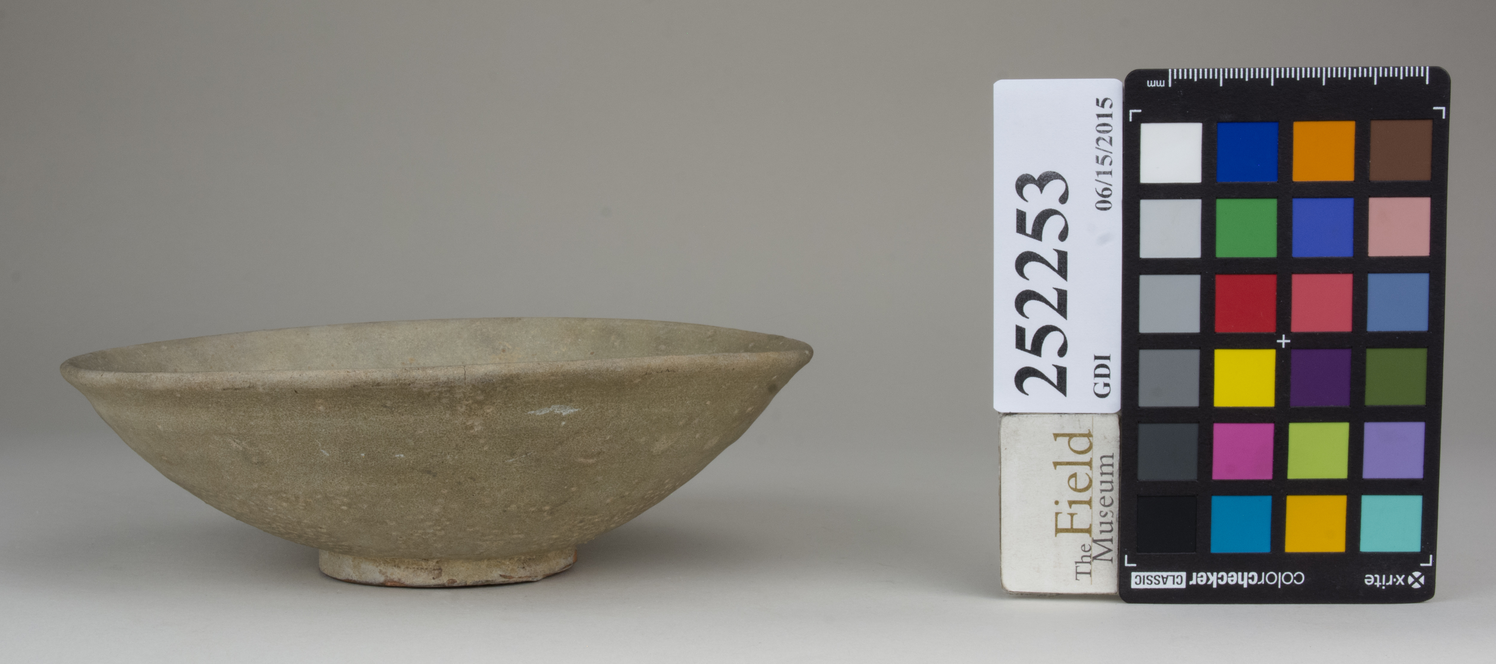 reference image, back (c) Field Museum of Natural History - CC BY-NC 4.0