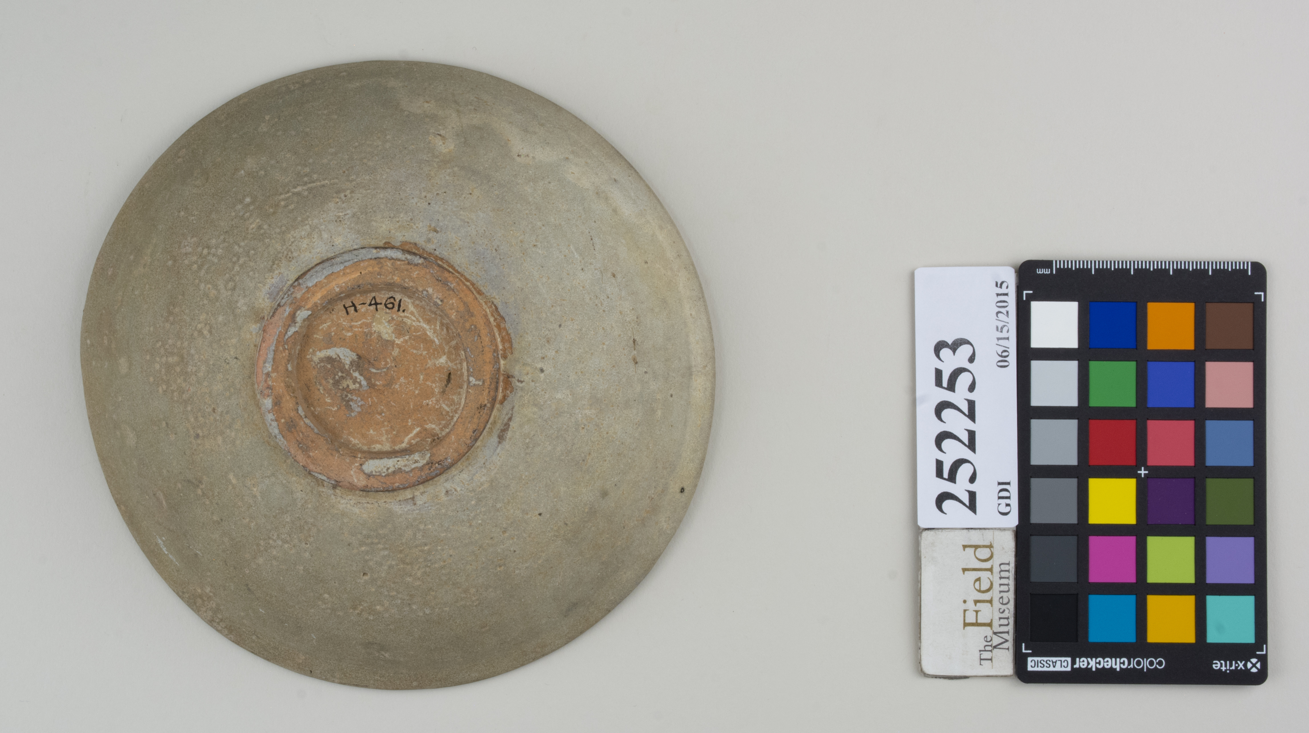 Bottom (c) Field Museum of Natural History - CC BY-NC 4.0