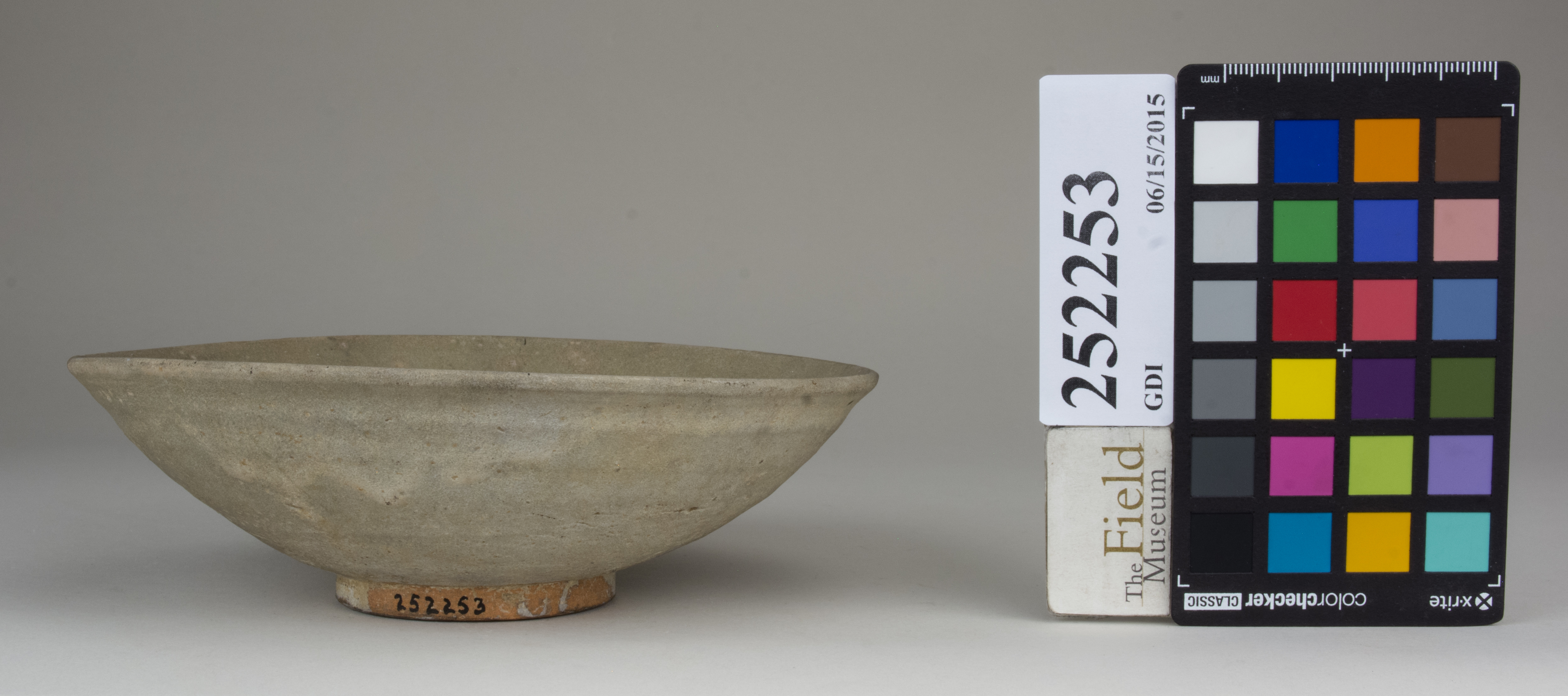 Front (c) Field Museum of Natural History - CC BY-NC 4.0