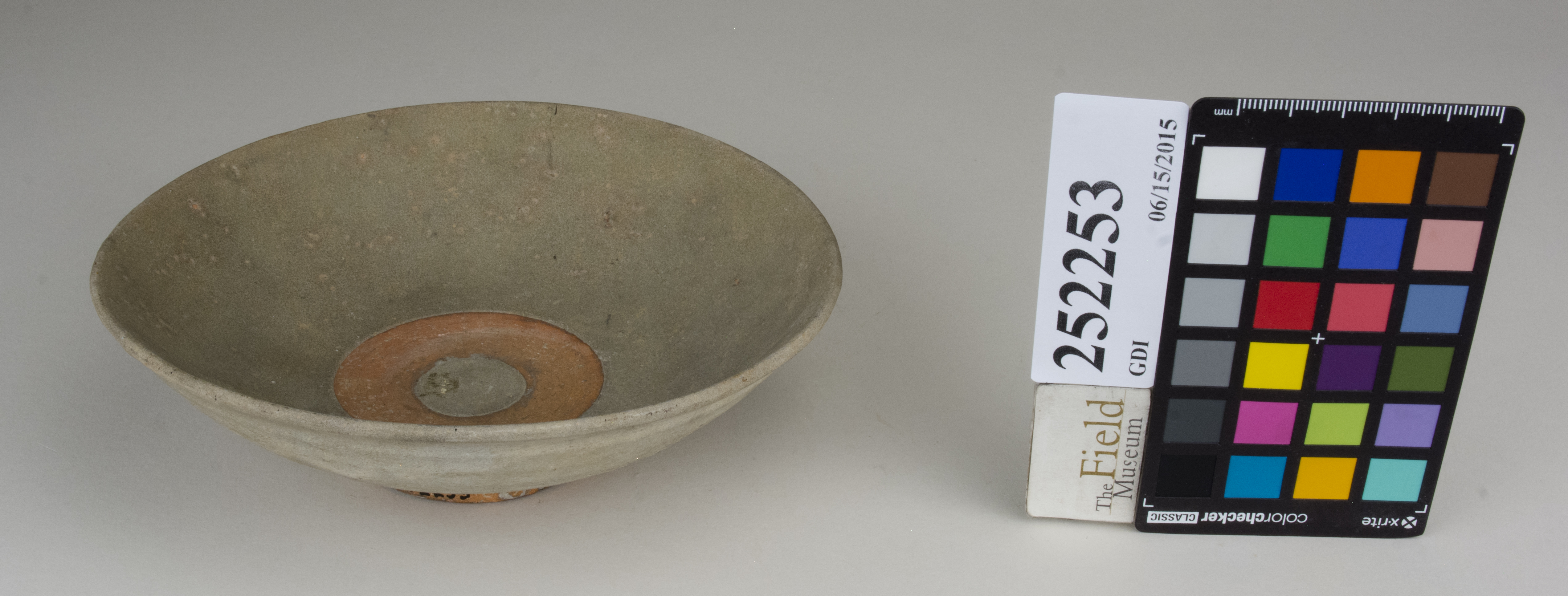 FrontAngle (c) Field Museum of Natural History - CC BY-NC 4.0