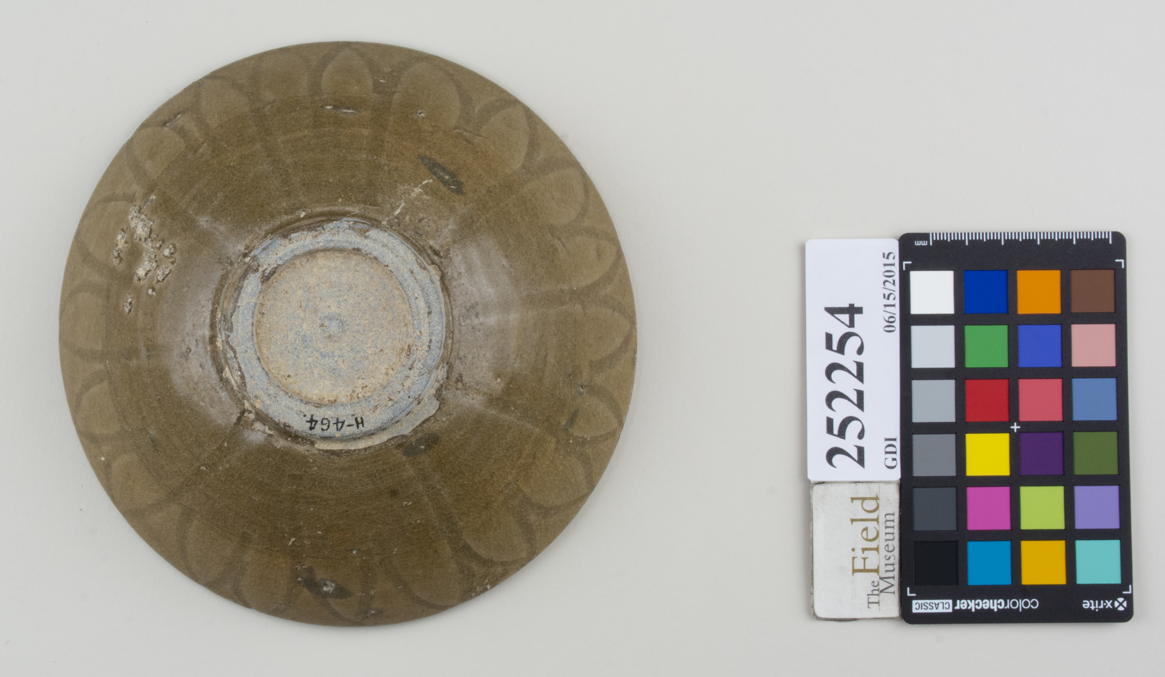 Bottom (c) Field Museum of Natural History - CC BY-NC 4.0