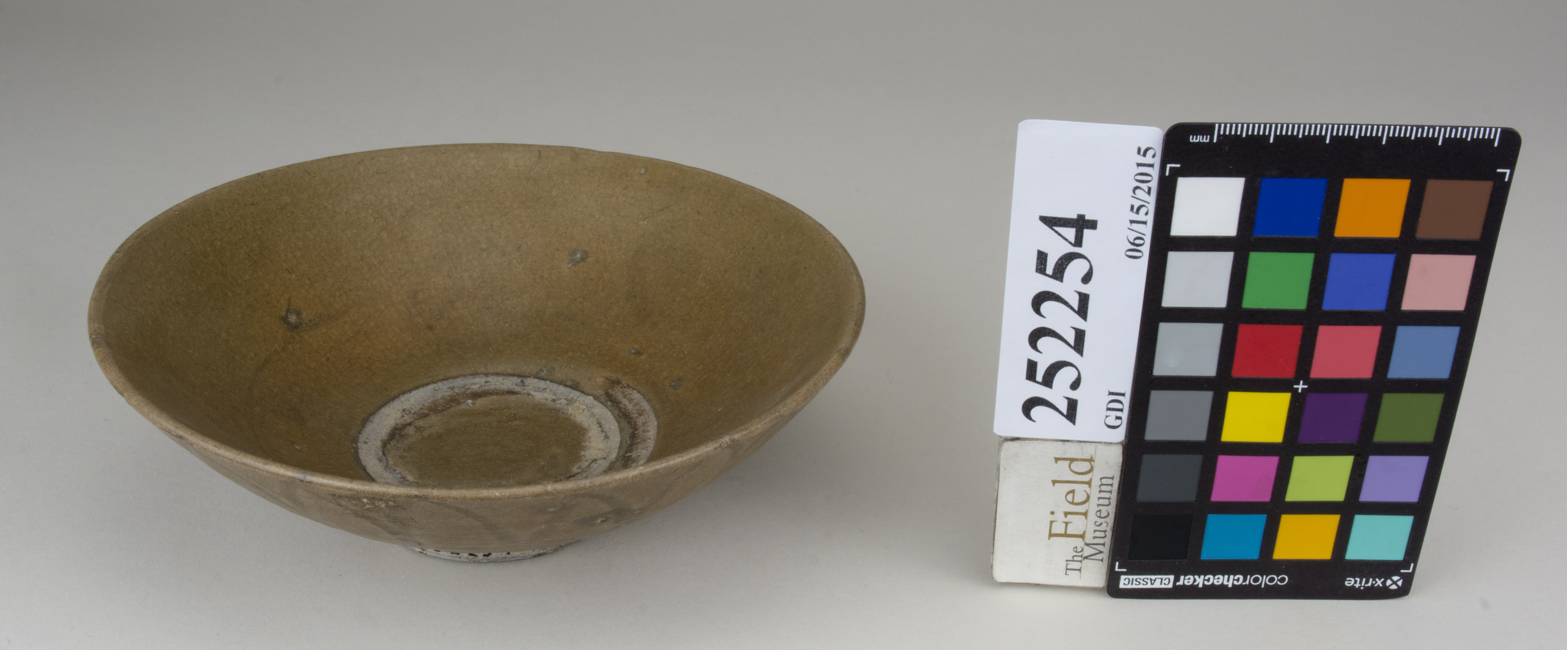 FrontAngle (c) Field Museum of Natural History - CC BY-NC 4.0