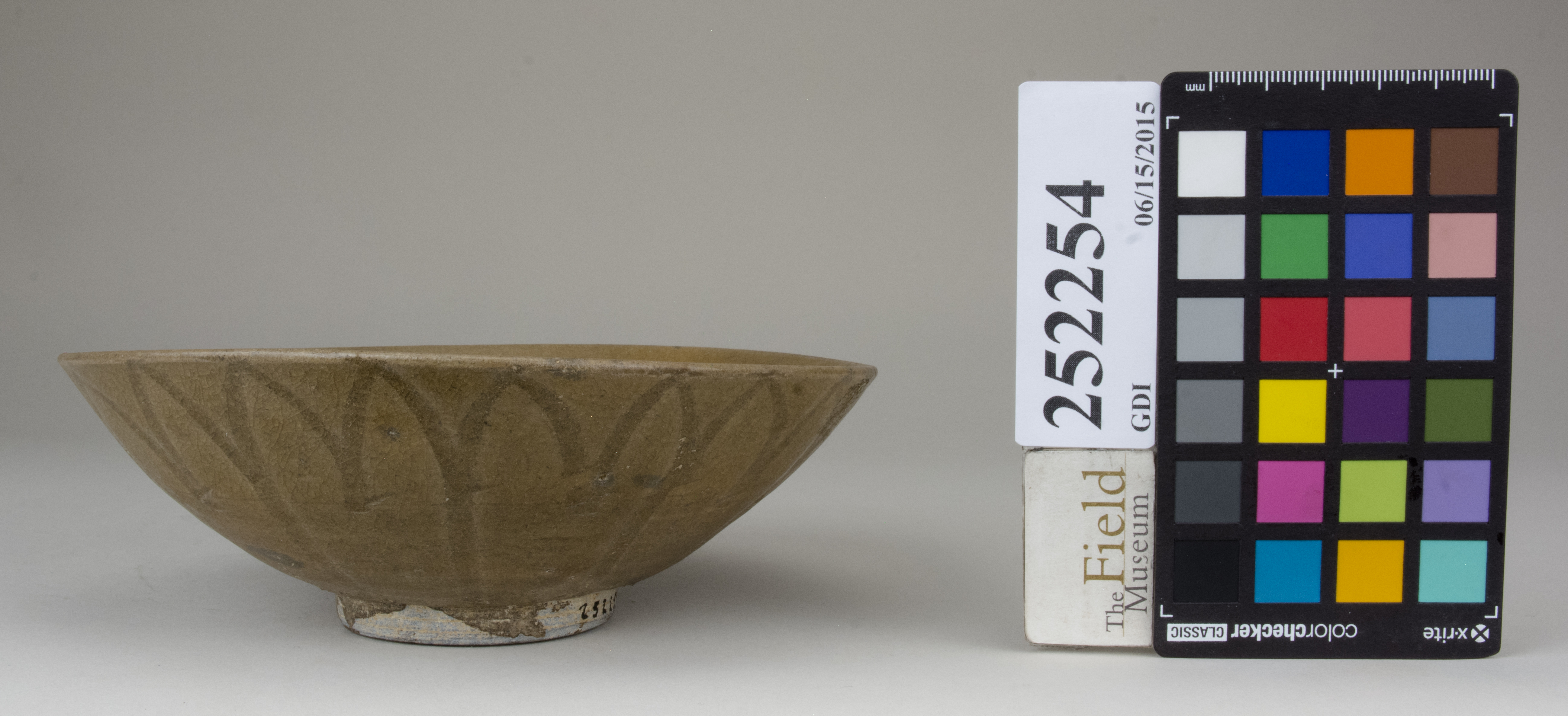 Right (c) Field Museum of Natural History - CC BY-NC 4.0