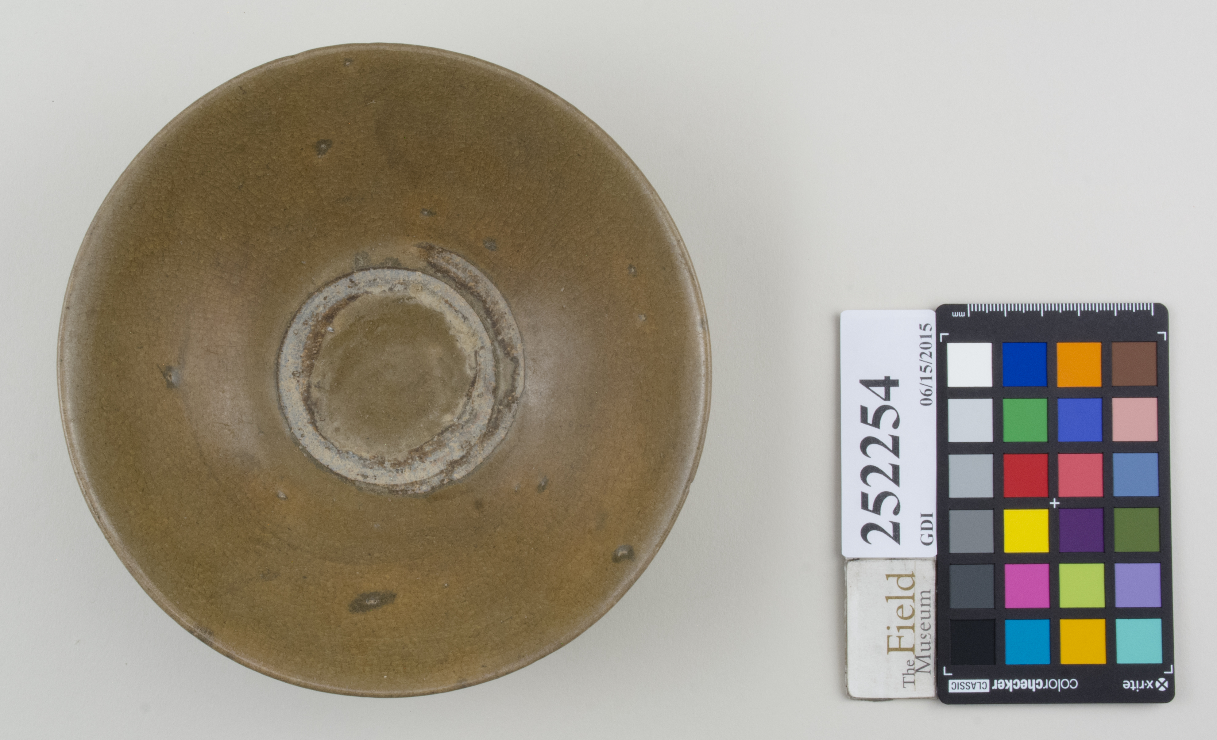 Top (c) Field Museum of Natural History - CC BY-NC 4.0