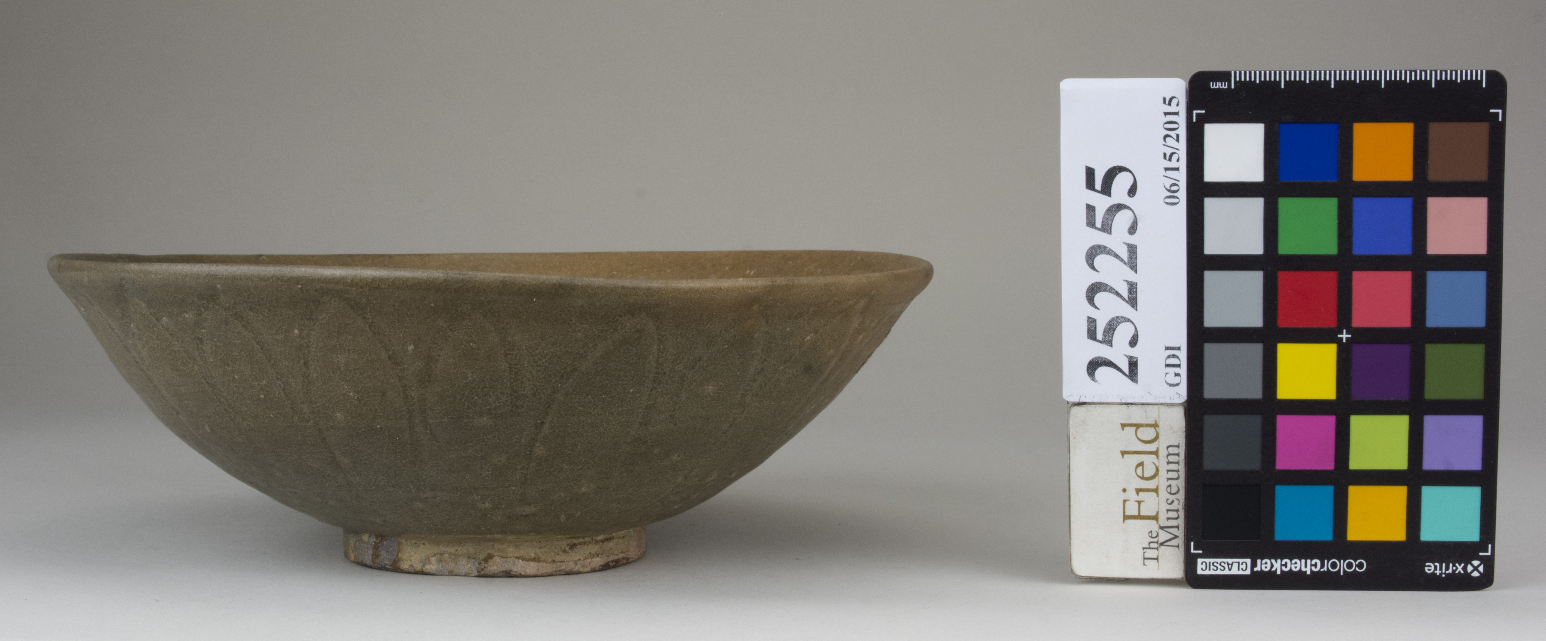 Front (c) Field Museum of Natural History - CC BY-NC 4.0