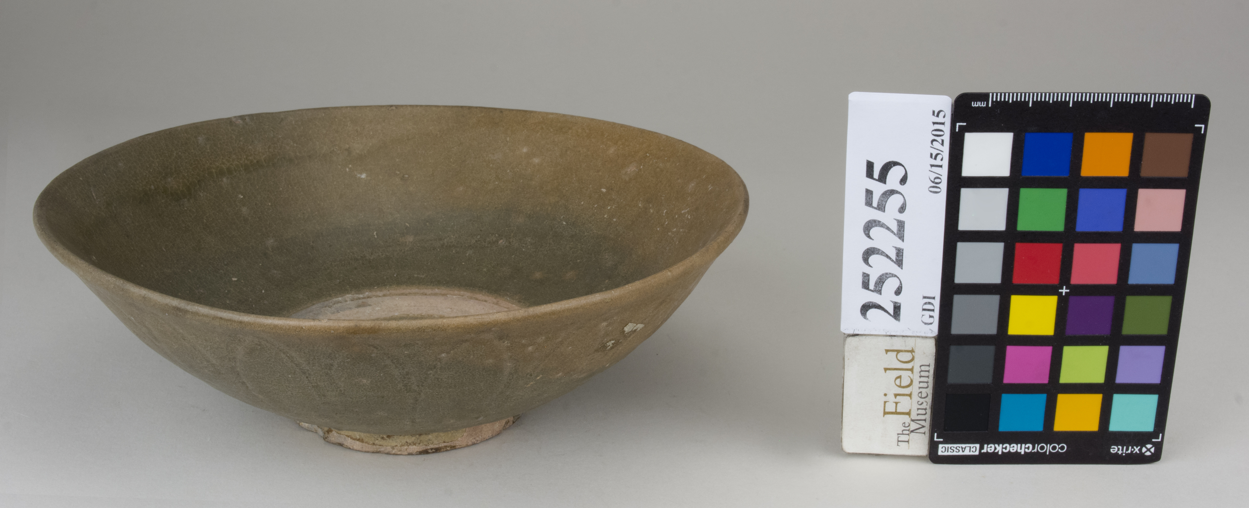 FrontAngle (c) Field Museum of Natural History - CC BY-NC 4.0