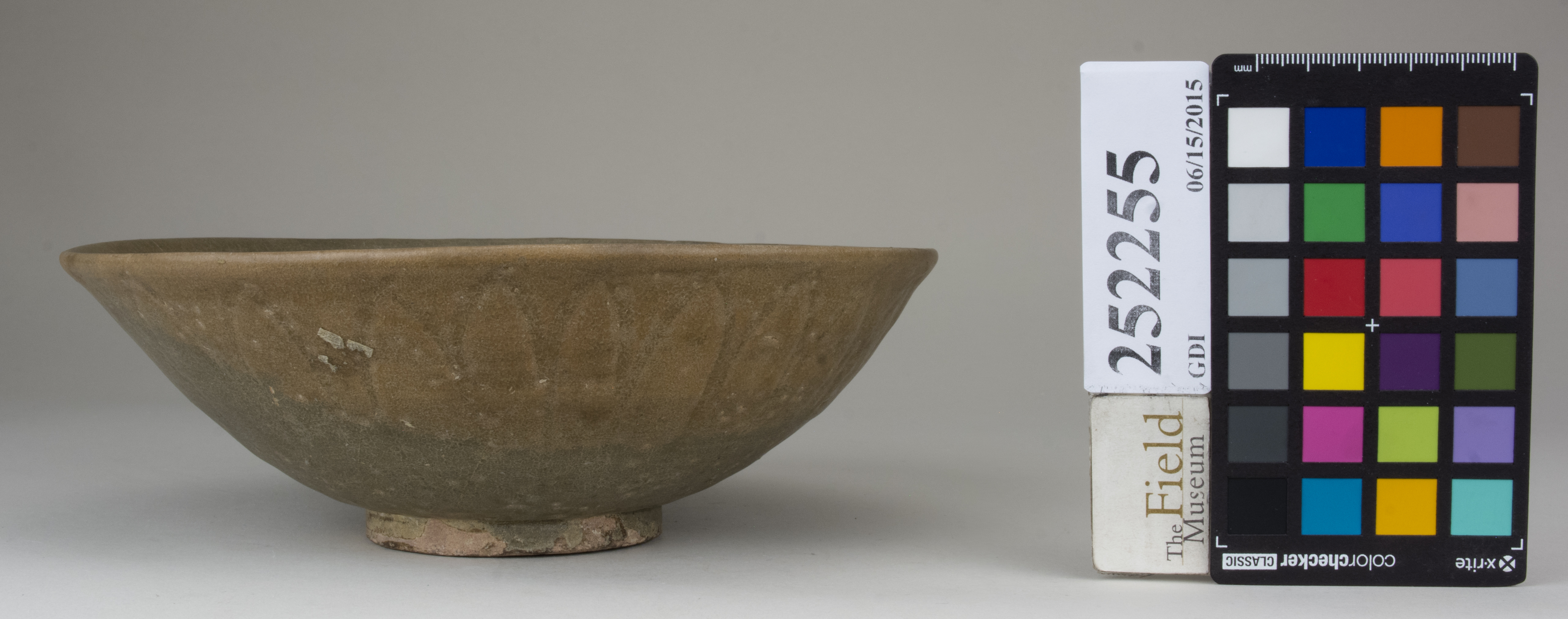 Left (c) Field Museum of Natural History - CC BY-NC 4.0