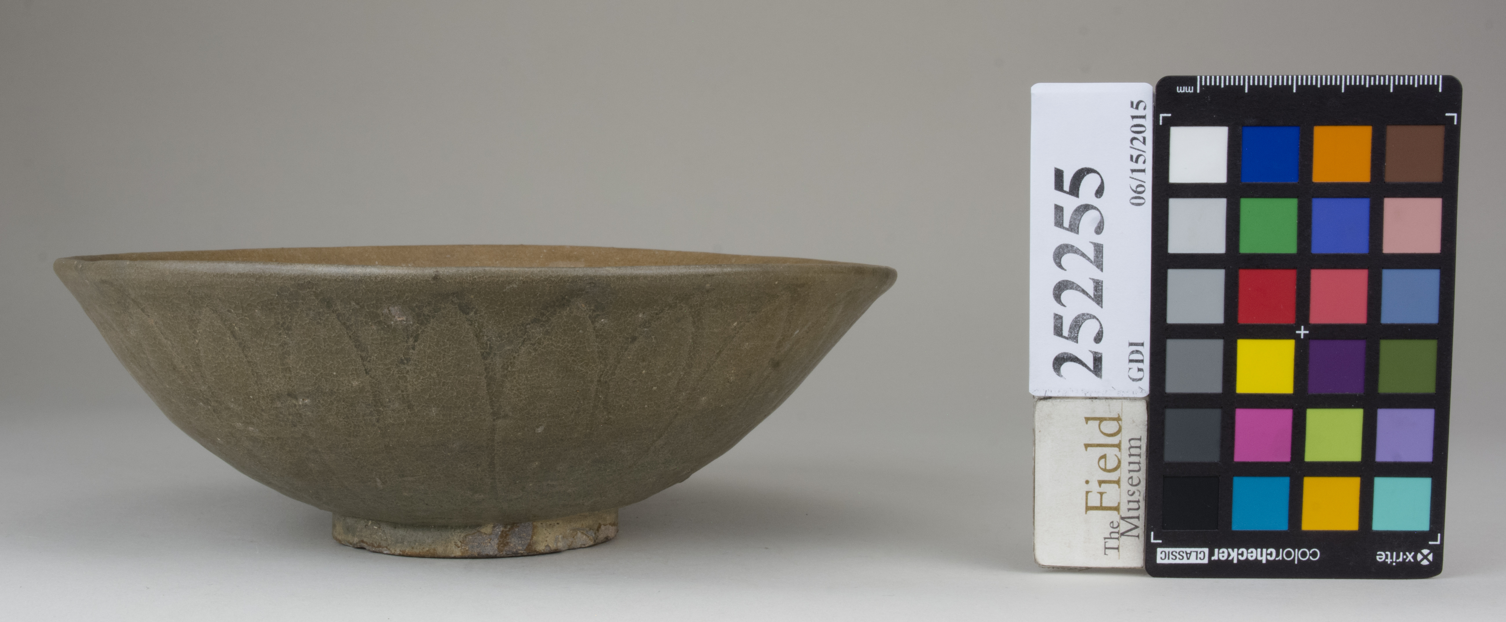 Right (c) Field Museum of Natural History - CC BY-NC 4.0