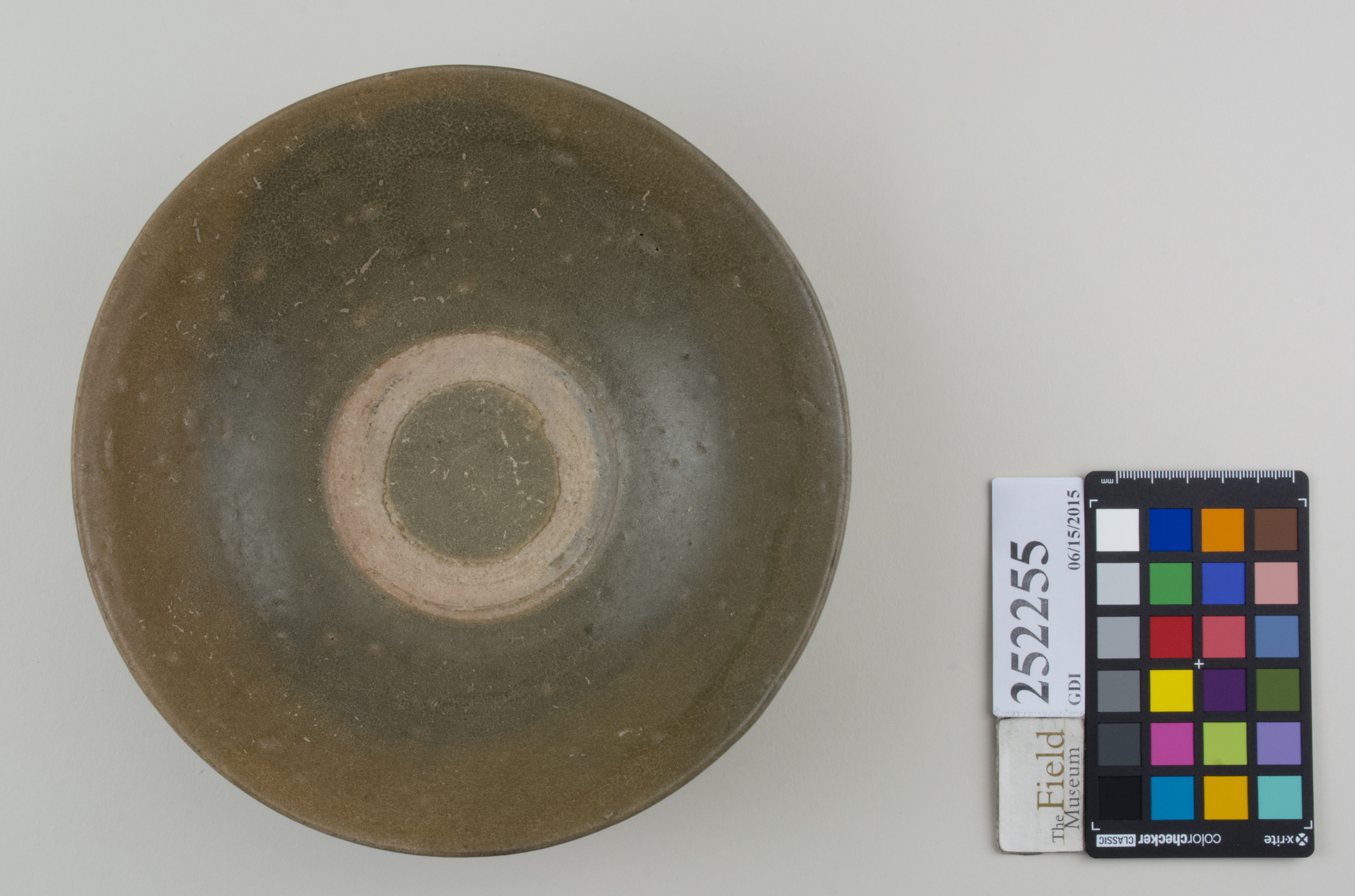 Top (c) Field Museum of Natural History - CC BY-NC 4.0