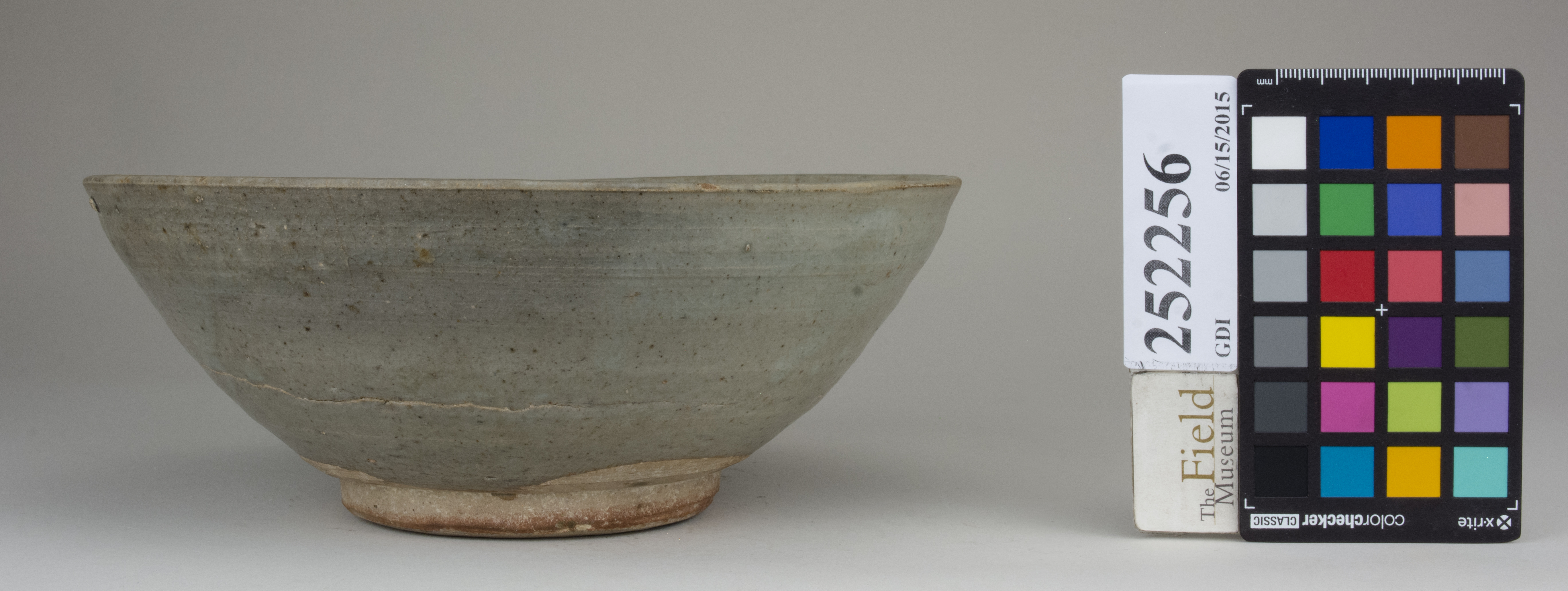 reference image, back (c) Field Museum of Natural History - CC BY-NC 4.0