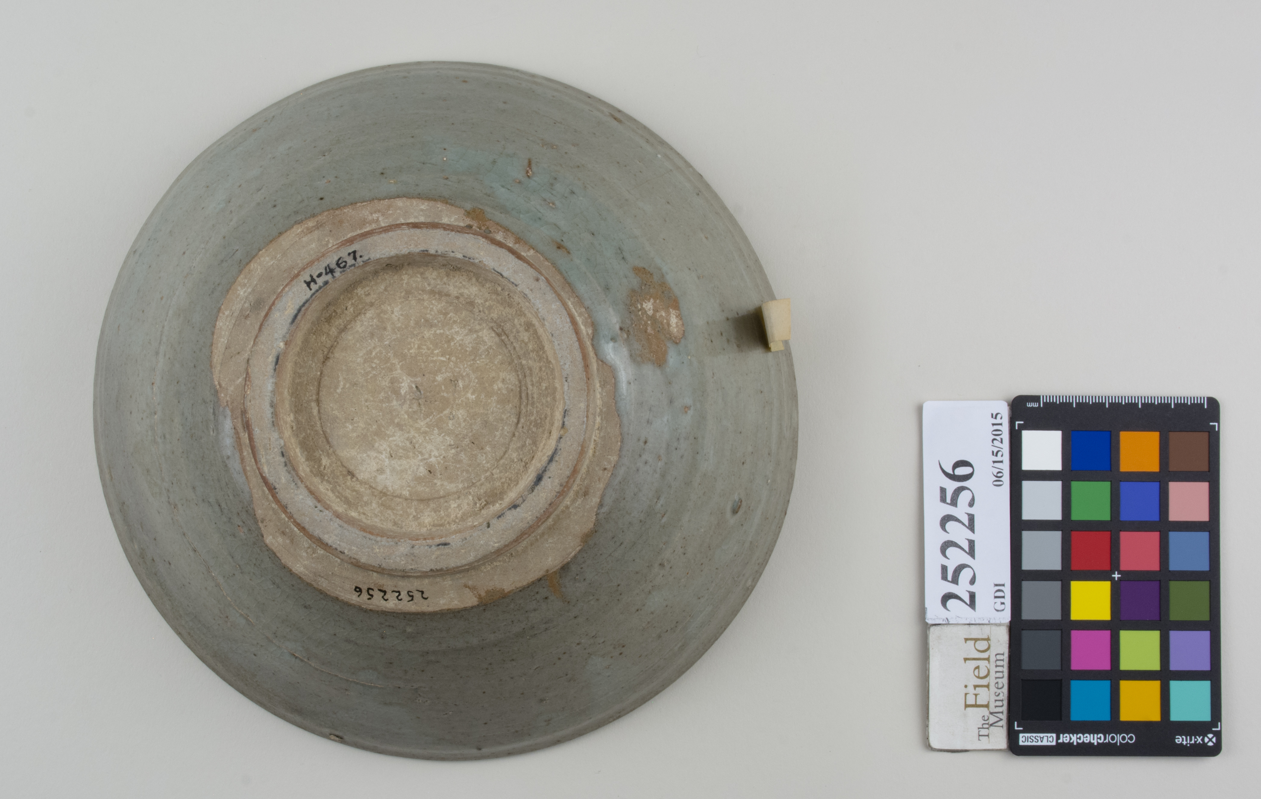 Bottom (c) Field Museum of Natural History - CC BY-NC 4.0