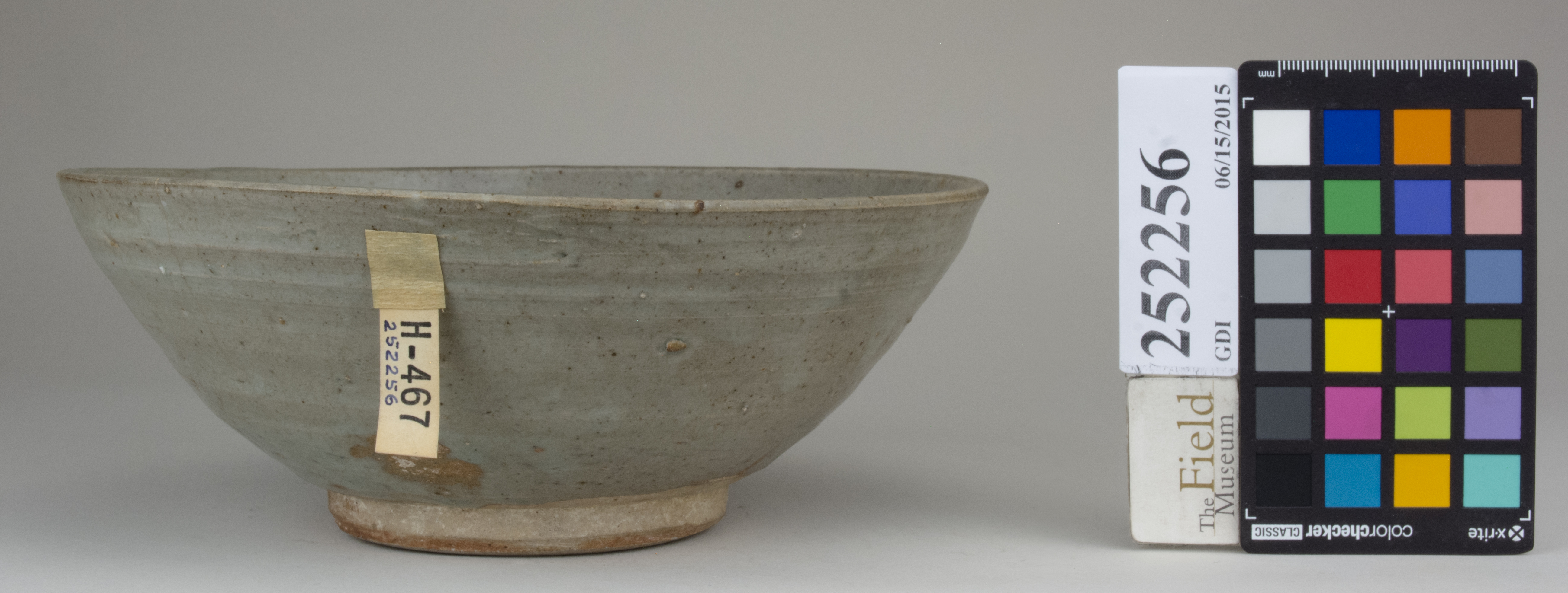 Front (c) Field Museum of Natural History - CC BY-NC 4.0