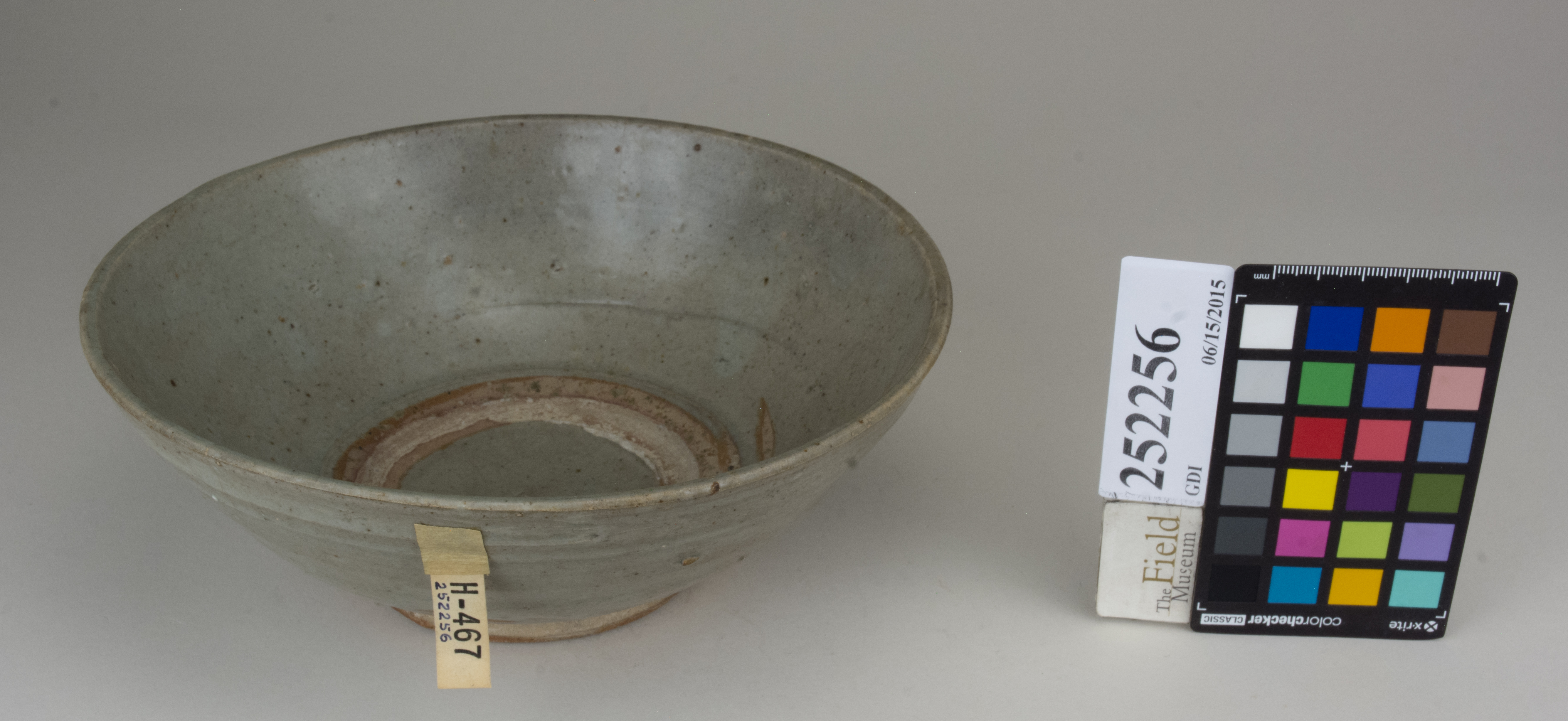 FrontAngle (c) Field Museum of Natural History - CC BY-NC 4.0