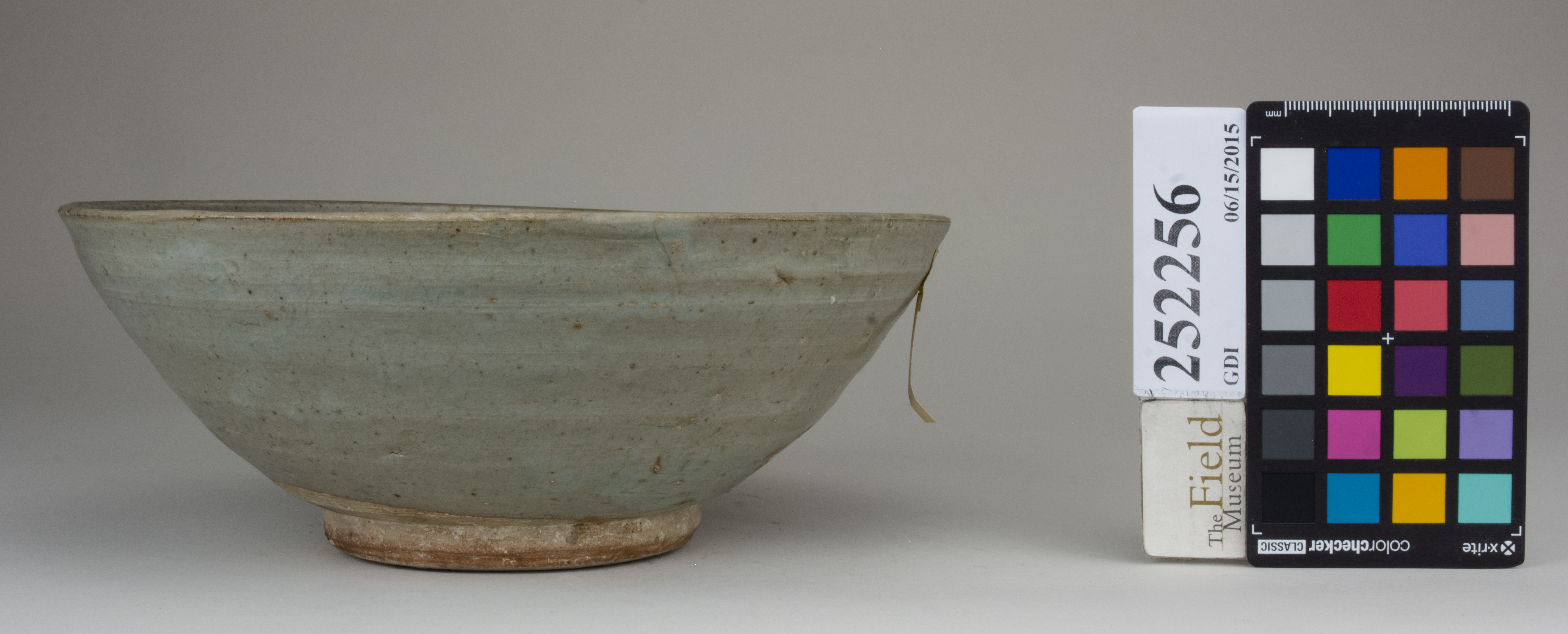 Right (c) Field Museum of Natural History - CC BY-NC 4.0