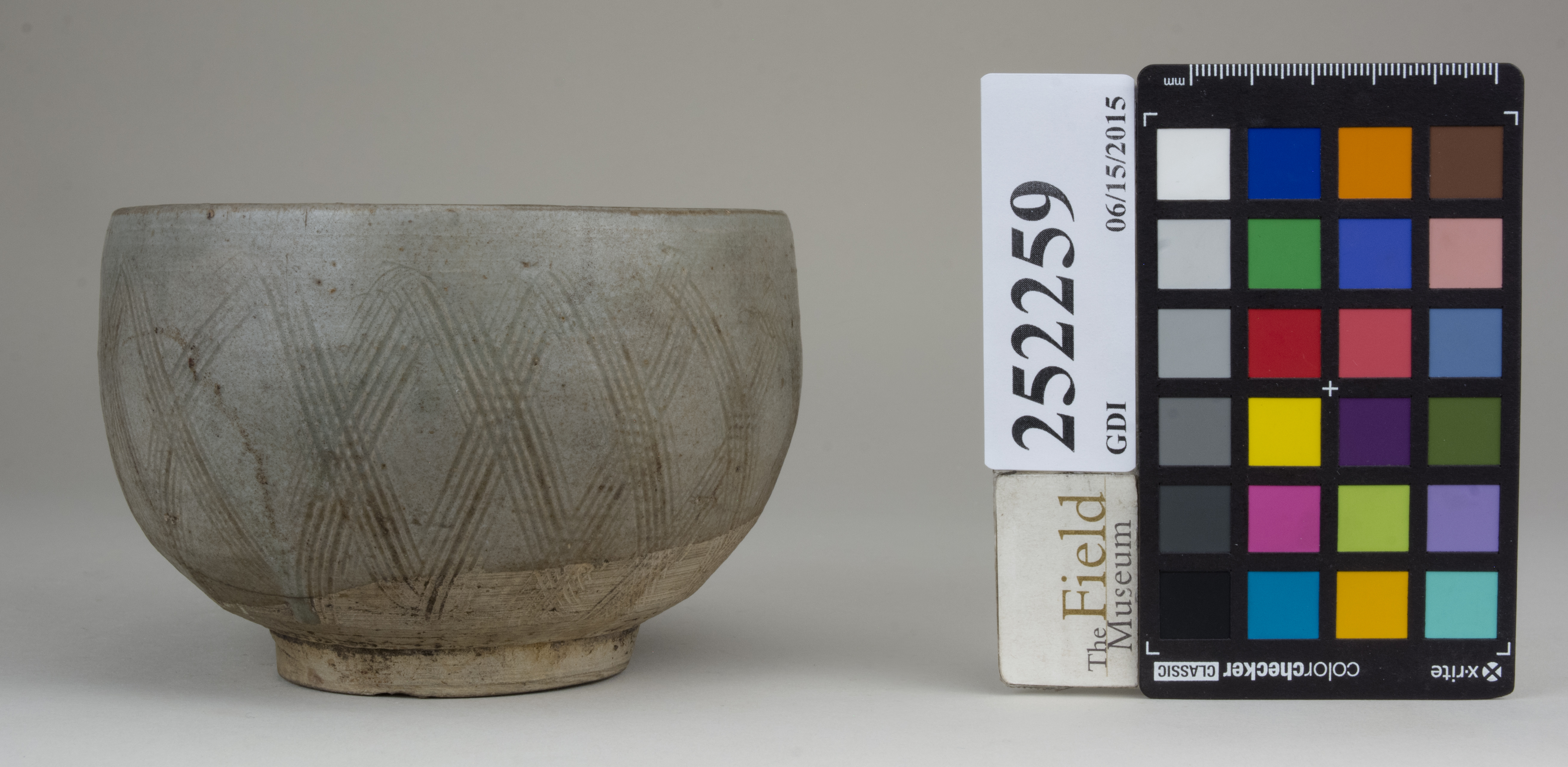 reference image, back (c) Field Museum of Natural History - CC BY-NC 4.0