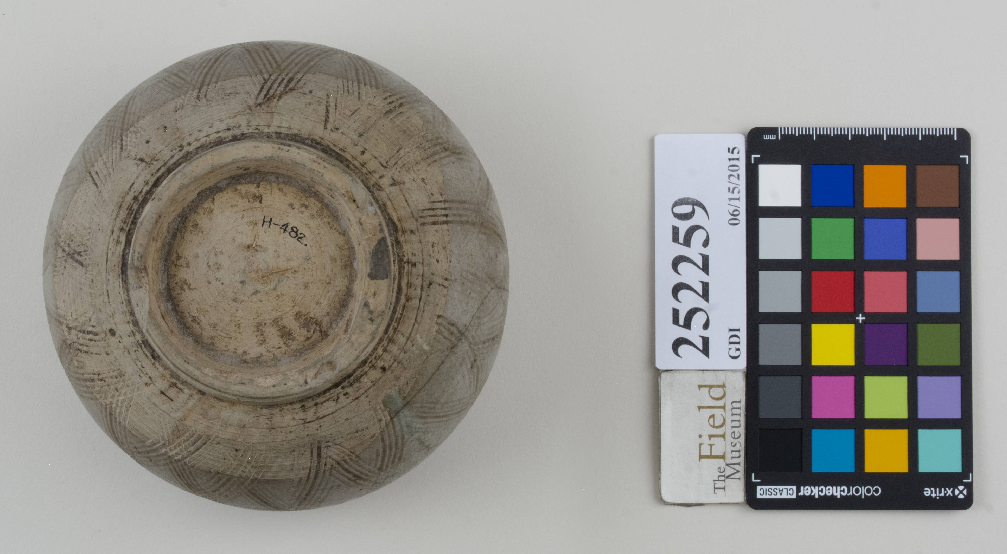 Bottom (c) Field Museum of Natural History - CC BY-NC 4.0