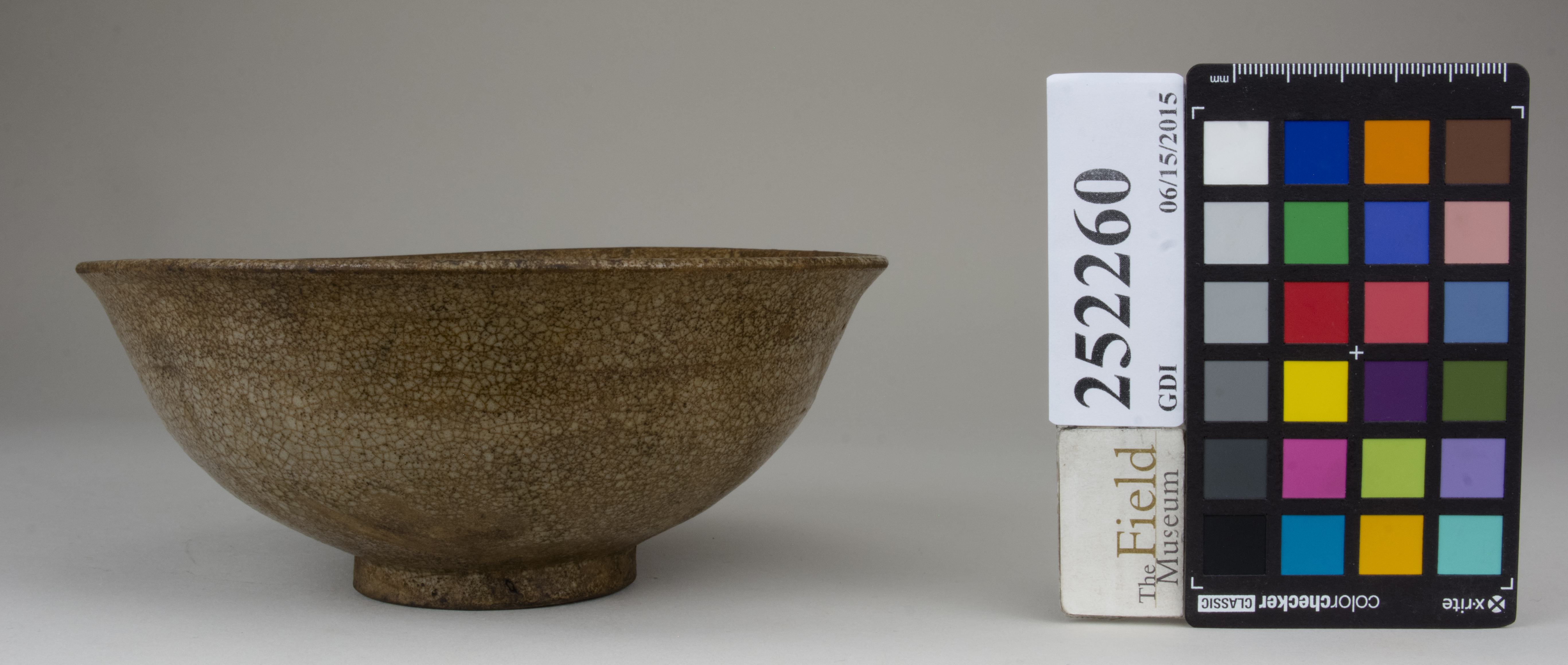 reference image, back (c) Field Museum of Natural History - CC BY-NC 4.0