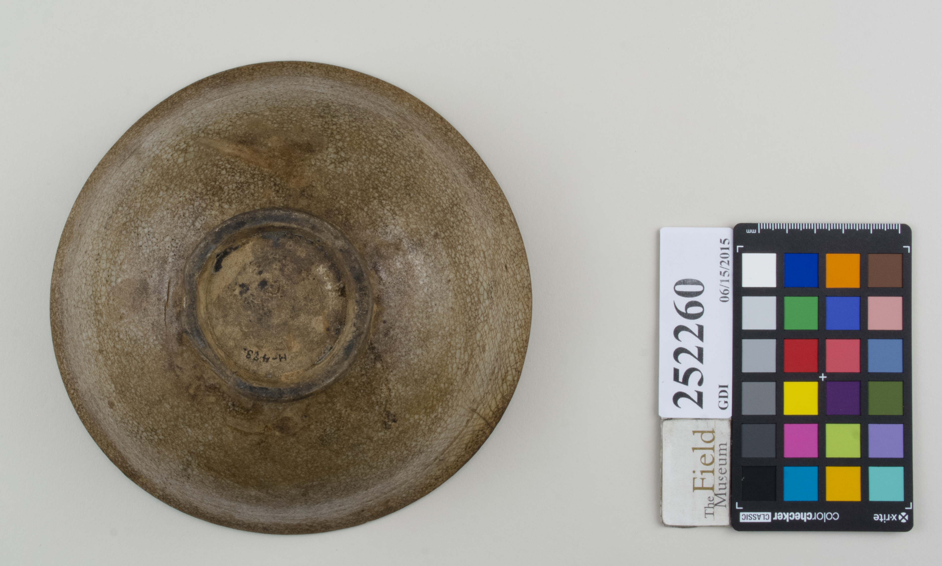 Bottom (c) Field Museum of Natural History - CC BY-NC 4.0