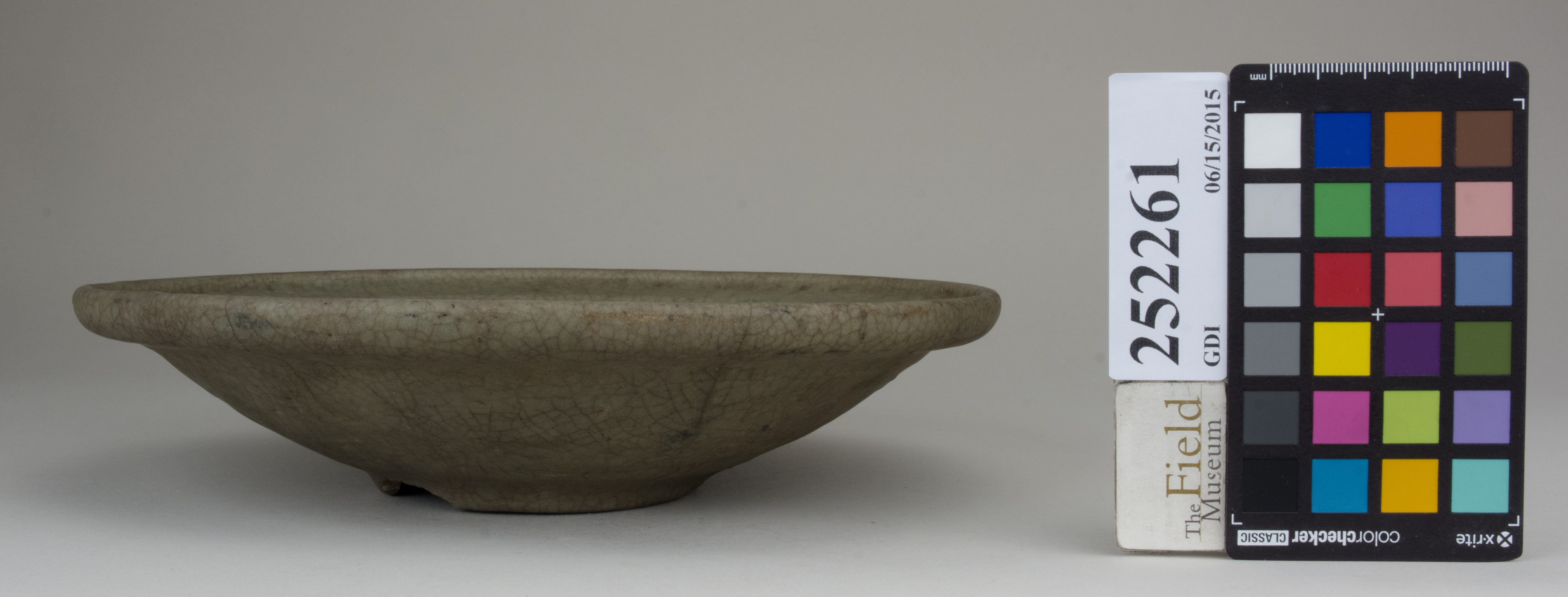 reference image, back (c) Field Museum of Natural History - CC BY-NC 4.0