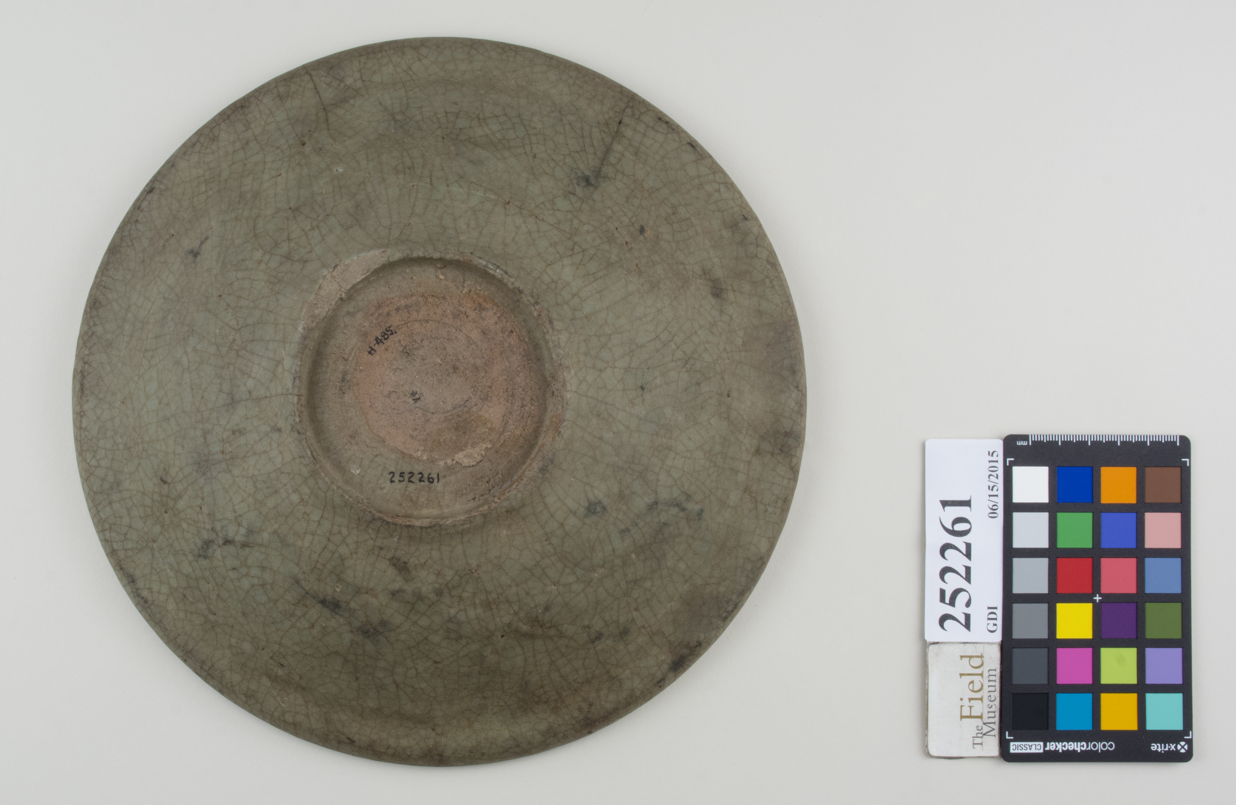 Bottom (c) Field Museum of Natural History - CC BY-NC 4.0