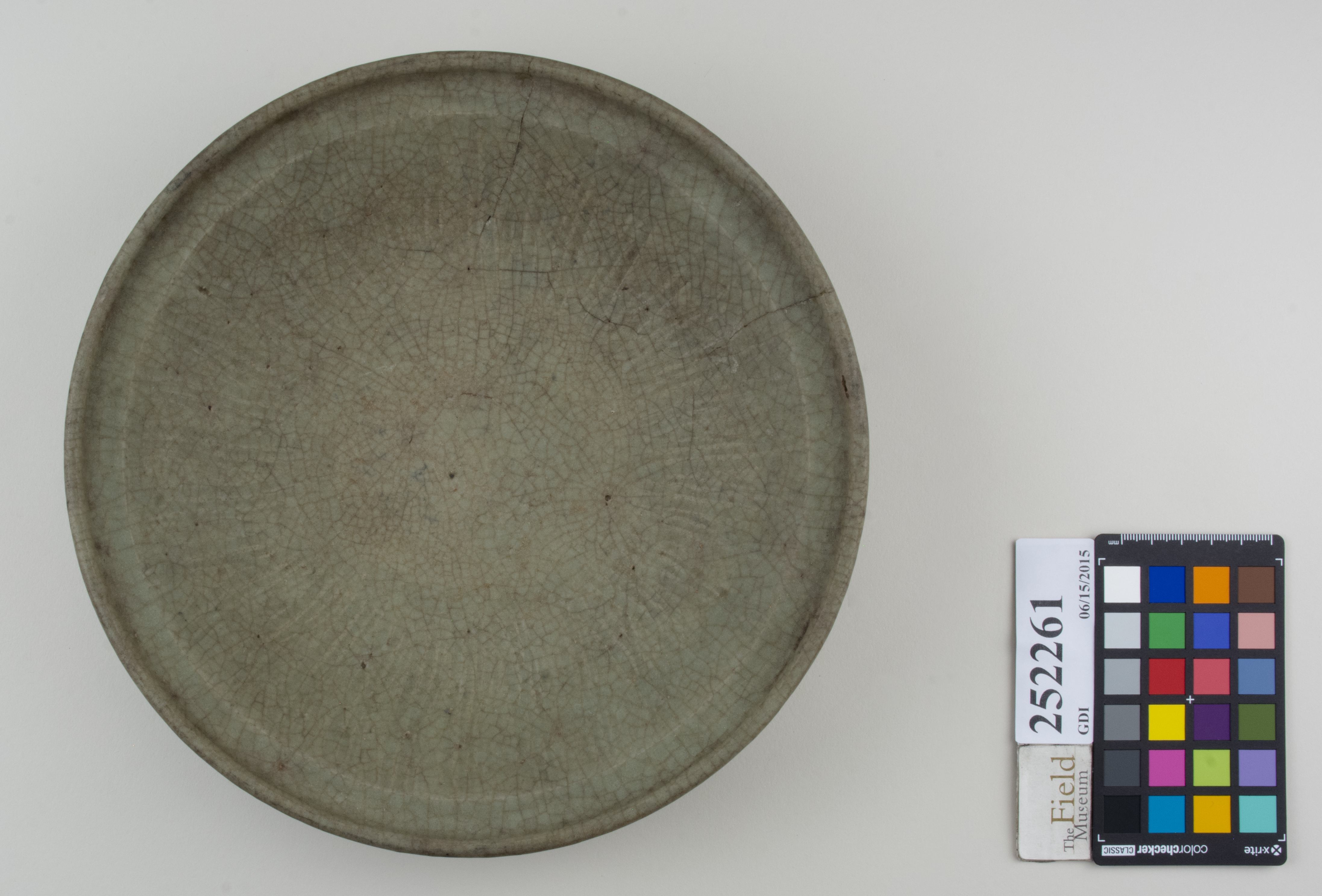 Top (c) Field Museum of Natural History - CC BY-NC 4.0