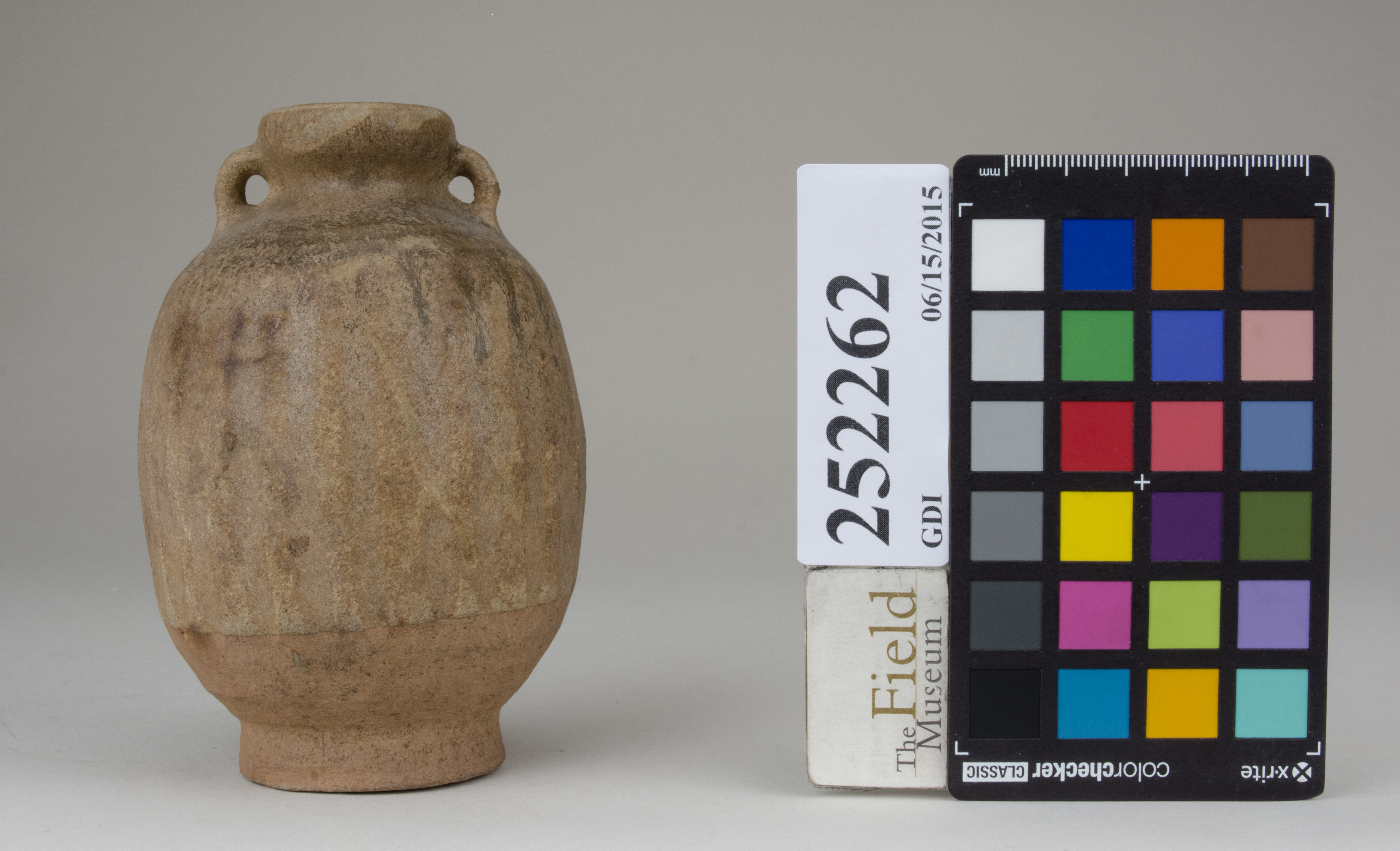 reference image, back (c) Field Museum of Natural History - CC BY-NC 4.0